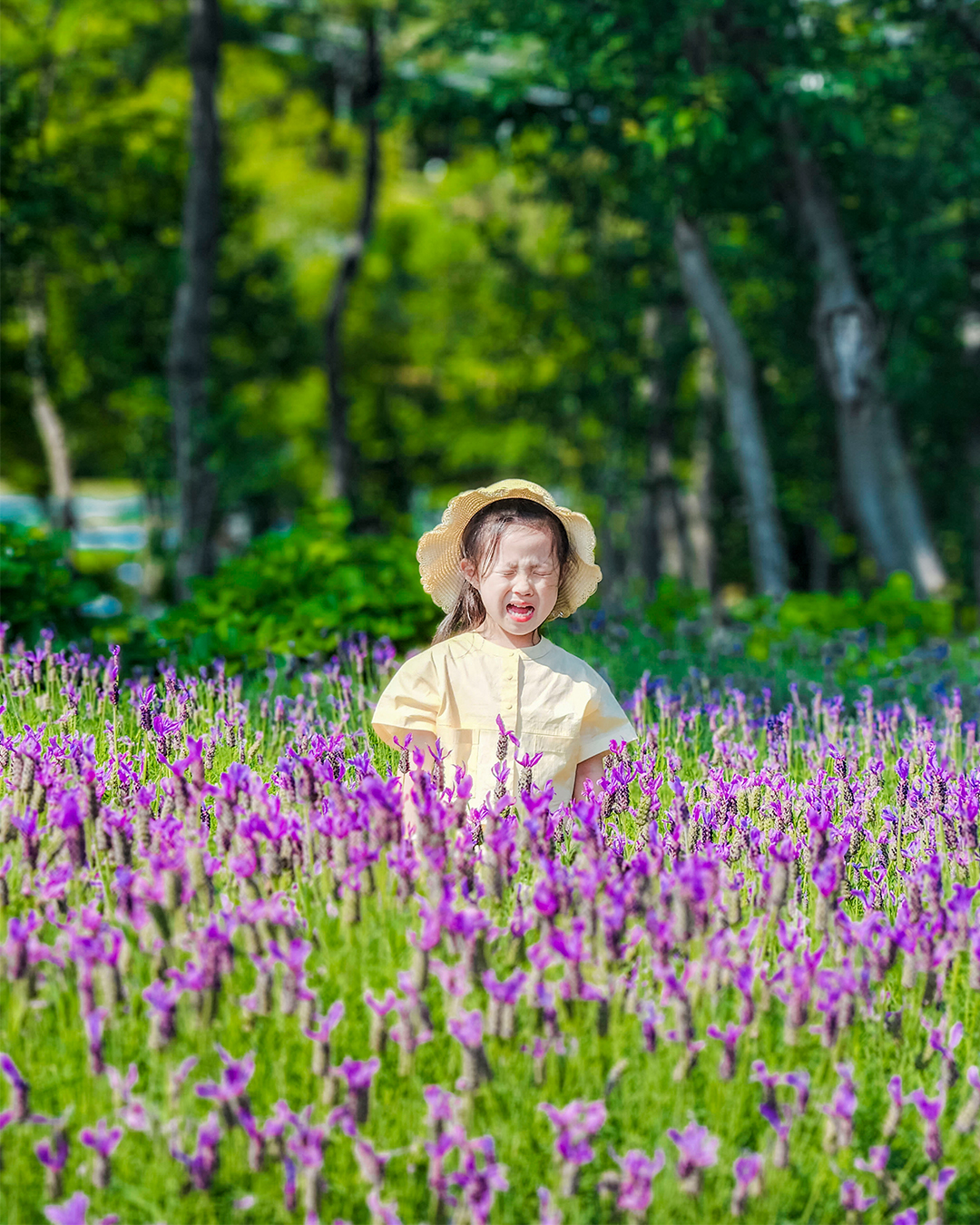 #협찬
#팡팡여행로그 X #울산여행 

보라빛 프렌치 라벤더가 한가득 🪻

꽃이 있으니 당연히 벌이 있는데
자기 쏘면 죽는거 아니냐고 팡팡이 뿌앵 😭

옆에서 지켜 보시던 분들 엄청 웃으셨다ㅋㅋ

남편이 본인이 더 팡팡이 사진 잘 찍어줬다고
어깨 한~껏 으쓱으쓱하던 날

+

📍#장생포고래마을 
-6월 초에 가면 수국도 함께 볼 수 있어요
-고래박물관과 고래마을이 함께 있으니 둘러 보기!
-주차장은 서편과 동편에 위치
-경사가 있으므로 걷기 힘들어하는 친구들은 유모차 준비
-꽃밭 바로 근처에 놀이터가 있으니 간단한 음료 준비 

+

#레뷰이벤트 #주말나들이 #주유권 #주유권이벤트 #가정의달 #레뷰가_나들이_준비했오 #레뷰_나들이_기록장

-