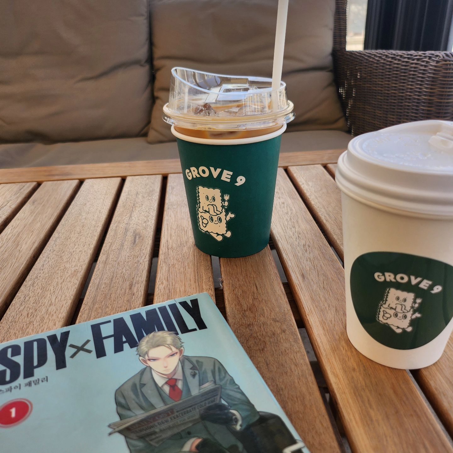 #grove9
#spyxfamily