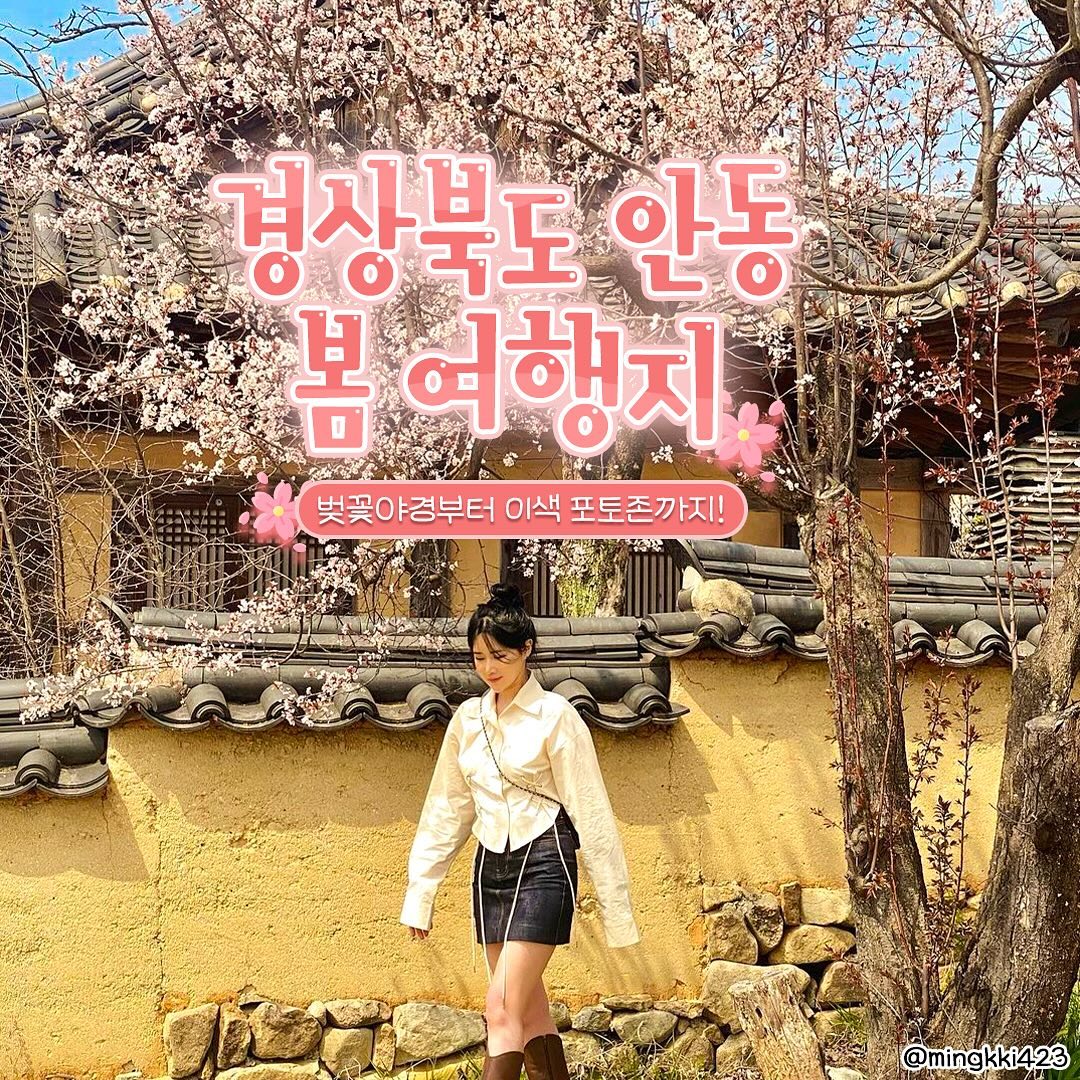 #지자체지원 #안동

벚꽃야경부터 이색 포토존까지!₍♡•͈ᴗ•͈♡₎
🌸경상북도 안동 봄 여행지🌸

 #월영교
📌석주로
- 낮과 밤이 모두 아름다운 안동의 벚꽃샷 명소!
- 야간관광 100선에 선정된 신비로운 야경이 유명한 곳

#안동하회마을 #하회마을
📌풍천면 하회종가길 2-1
- 안동 필수 여행코스로, 세계유산 한국의 역사마을에서 벚꽃을!
- 벚꽃나무와 기와를 한 컷에 담아서 찍어주는 거 어때?

#안동포타운
📌임하면 금소3길 3
- 매년 4월 중순, 약 2400평 규모의 튤립축제가 열린대!
- 튤립 산책로로 거닐며 가족 & 연인과 함께 가기 좋은 곳

#묵계서원
📌길안면 국만리길 70
- 묵계서원 속 홍매화와 함께 인생샷을 찍을 수 있는 곳
- 액자와 같은 느낌을 줄 수 있어!

#도산서원
📌도산면 도산서원길 154
- 퇴계 이황이 직접 설계한 제일 오래된 서원
- 은은한 매화와 한적한 분위기를 자랑하는 곳

#길안천지생태공원
📌길안면 천지안길
- 봄이 되면 유채꽃이 찬란하게 피는 힐링명소
- 제주도 안 가도 되는 유채꽃 명소라구!!

#예끼마을 #선성수상길
📌도산면 선성길 14
- 1km 정도 물 위의 데크길이 조성되어 있는 선성수상길 포토존과 벽화거리로 유명한 예끼마을의 트릭아트까지 즐길 수 있음!

#만휴정
📌길안면 묵계하리길 42
- tvN 미스터션샤인 촬영지로 유명한 곳
- 드라마 주인공처럼 다리 위에서 인생샷 남기러 가자!

#병산서원
📌풍천면 병산길 386
- 서애 류성룡의 학문과 업적을 기리는 서원
- 매화꽃과 함께 한 폭의 동양화 같은 인생샷!
.
.
#대한민국구석구석 #안동가볼만한곳 #안동 #경상북도 #안동여행 #안동핫플 #안동여행지 #안동여행추천 #안동축제 #국내여행 #국내여행지  #봄여행지 #안동관광명소