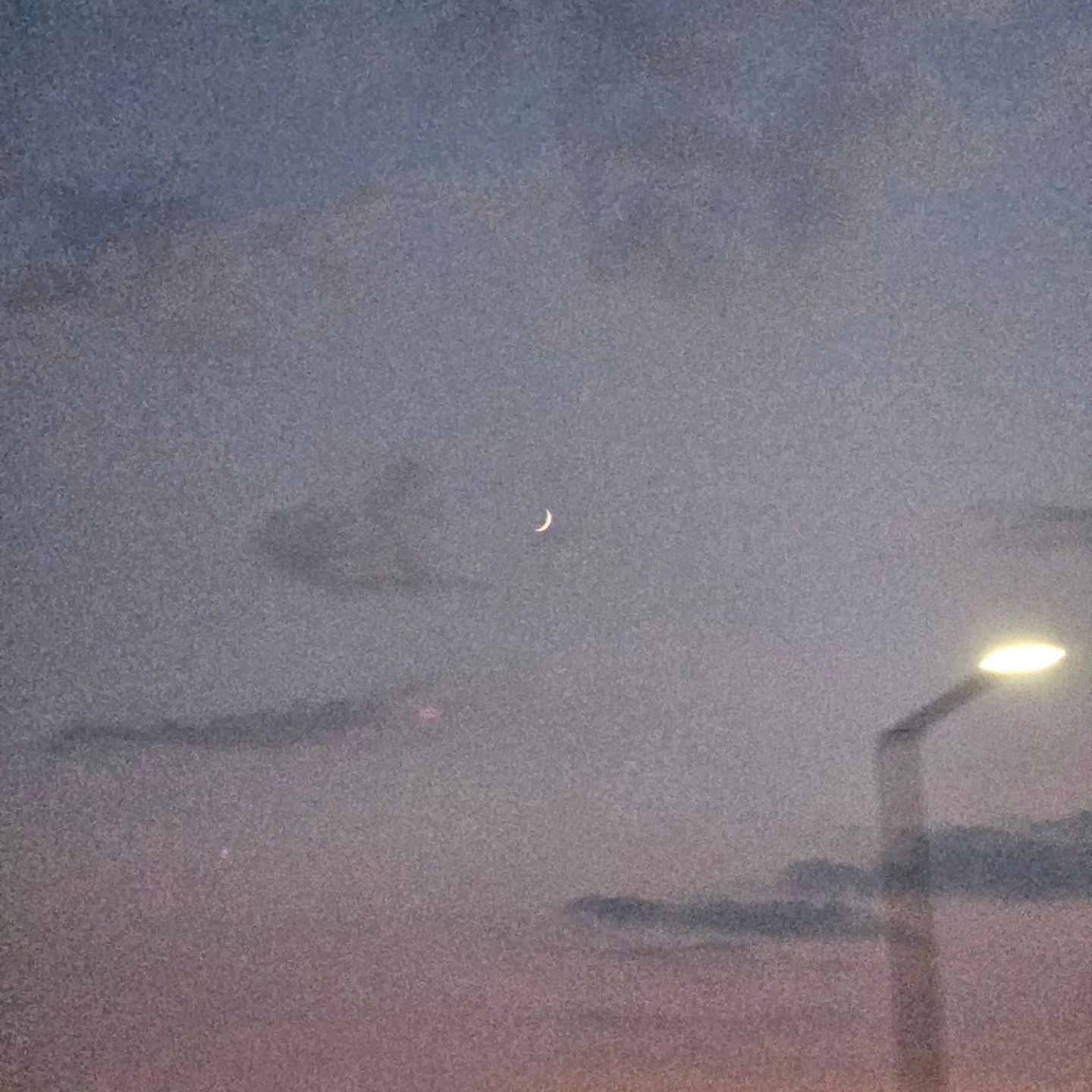 하루종일 드러누워서 마스크걸 보기.
근데 내 머리 깜빵모미머리네....🥲