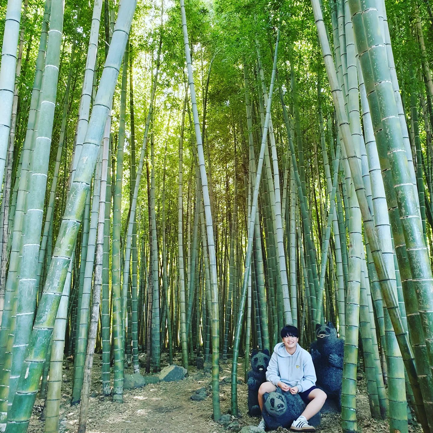 오빠야 사진 찍기 쉽지 않은 #가족여행 

이제는 나보다 커진 #중딩오빠 
어렵다 사진찍기 ㅎㅎ

#제주 #제주도 #jeju #jejuisland