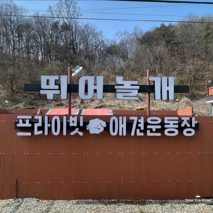 [경기/양평] 서울 근교 단독 사용 프라이빗 양평 애견운동장 뛰어놀개