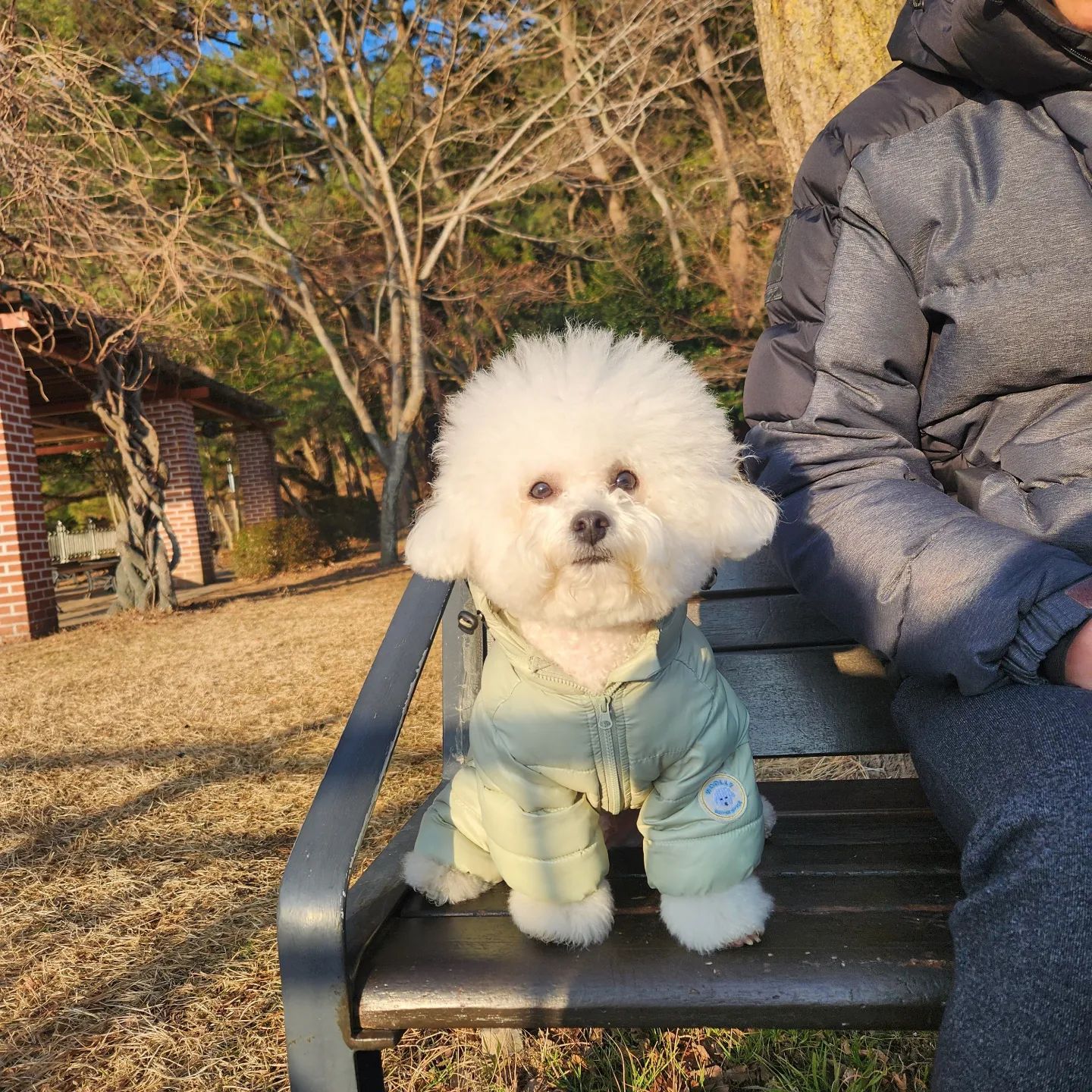 🌳게으름뱅이가 새벽에 등산가면?🌳

햇빛 받으면서
멍때리기 1시간도 가능 -`🩷´-

(10분걷고 안아달라해서
안겨서 가기 30분,,🫠)

_
