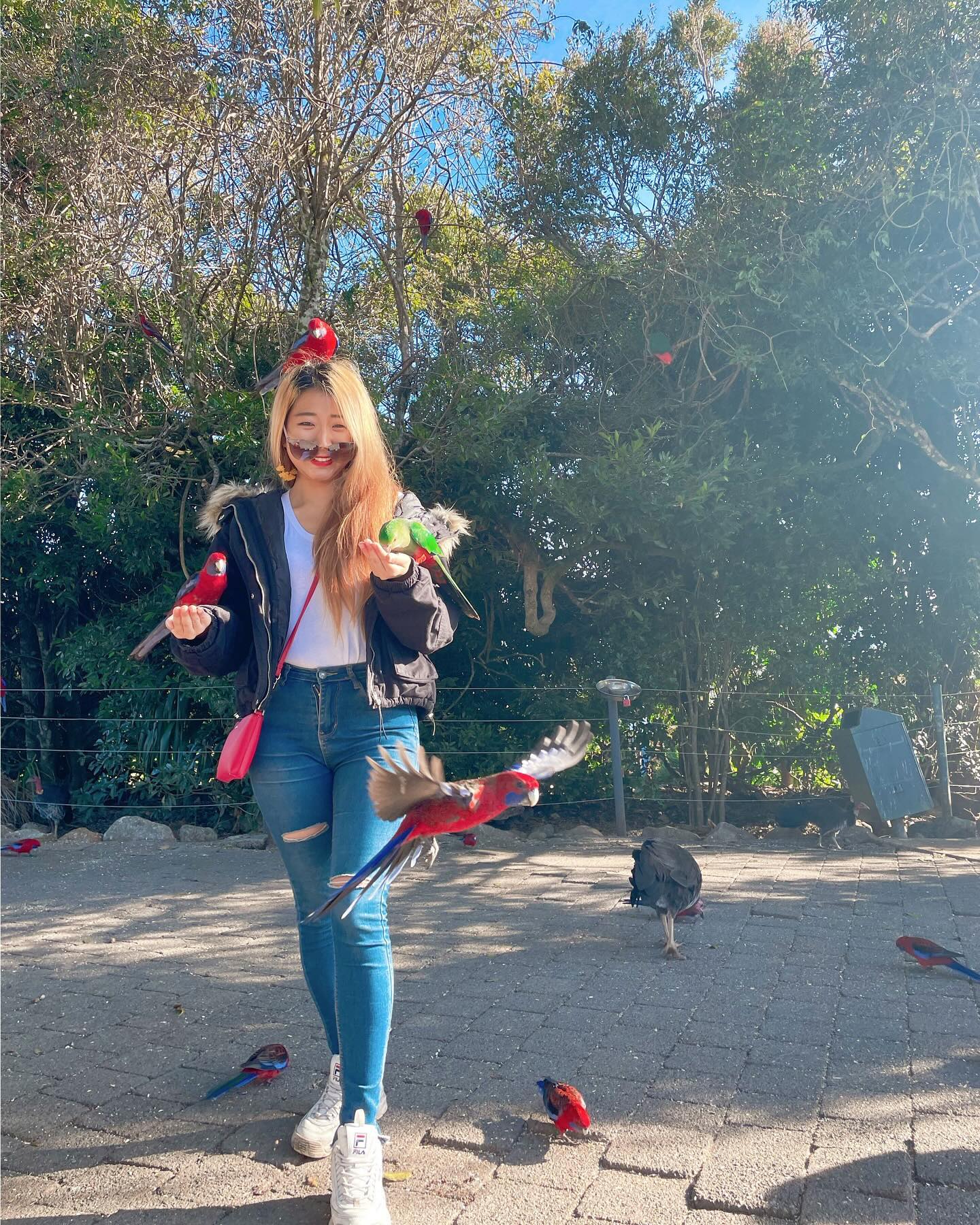 ⠀⠀⠀⠀⠀⠀⠀⠀⠀⠀⠀⠀⠀
🦜A fairy of birds🦜

 ⠀⠀⠀⠀⠀⠀⠀⠀⠀⠀⠀⠀⠀⠀⠀
#호주 #호주여행 #호주워킹홀리데이 #호주일상 #호주워홀 #호주생활 #호주워홀러 #골드코스트#여행 #여행스타그램 #앵무새 #브리즈번 #좋아요반사 #좋아요 #맞팔 #aus #australia #goldcoast #brisbane #travel #travelblogger #like #likesforlike #sydney #instq #instagram #daytrader #followforfollowback #australiagram #worldtraveler
