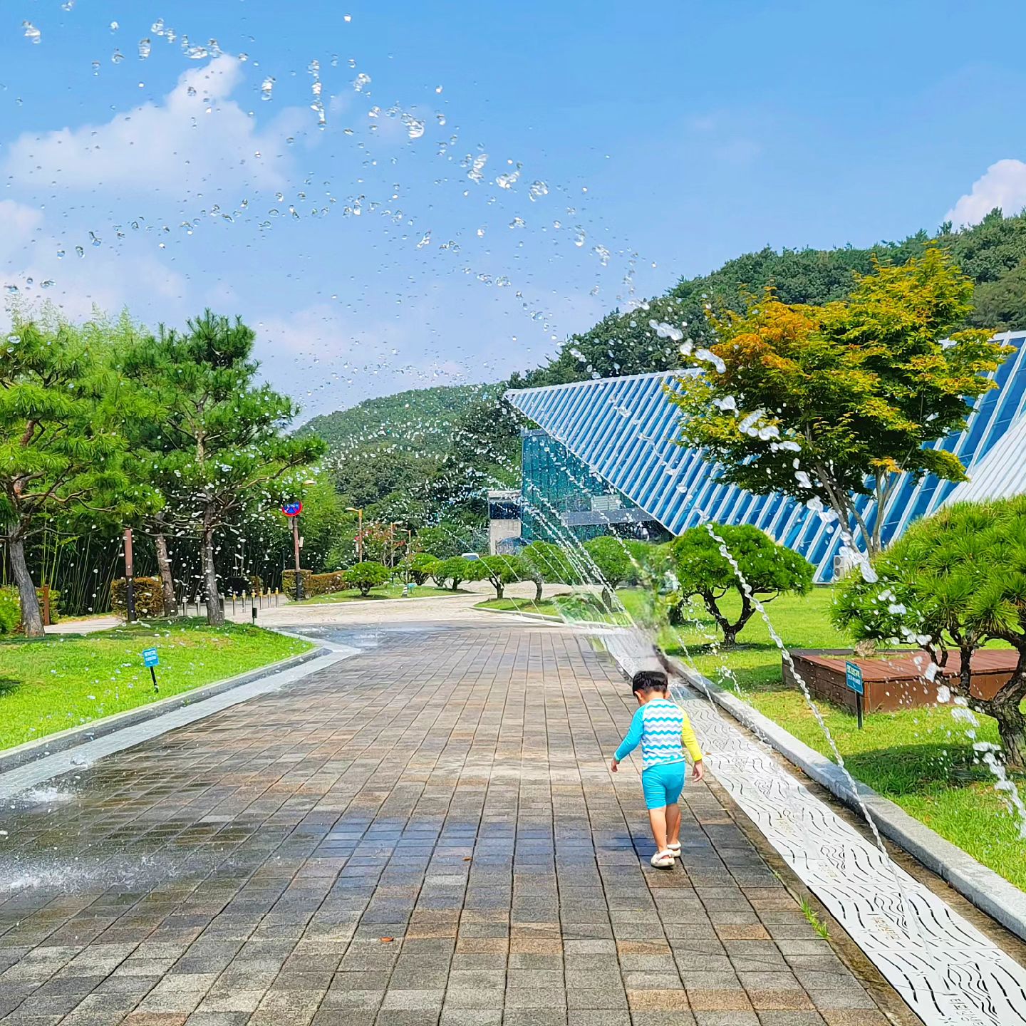 (2024.8.25) 윤성 D+1167

여름 막바지 바닥분수 물놀이💦

#38개월아기 #태화강생태관 #육아기록 #신춘기록🐮 #새봄기록🐰