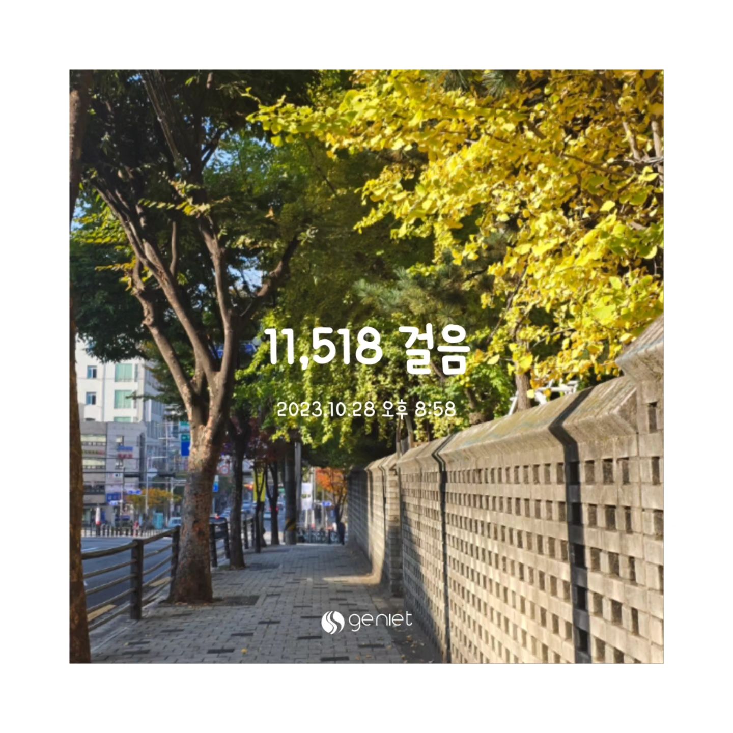 #일상

3일차 ♥︎

#지니어트 #지육챌 #다이어트챌린지 #다이어트일기 #유산소운동