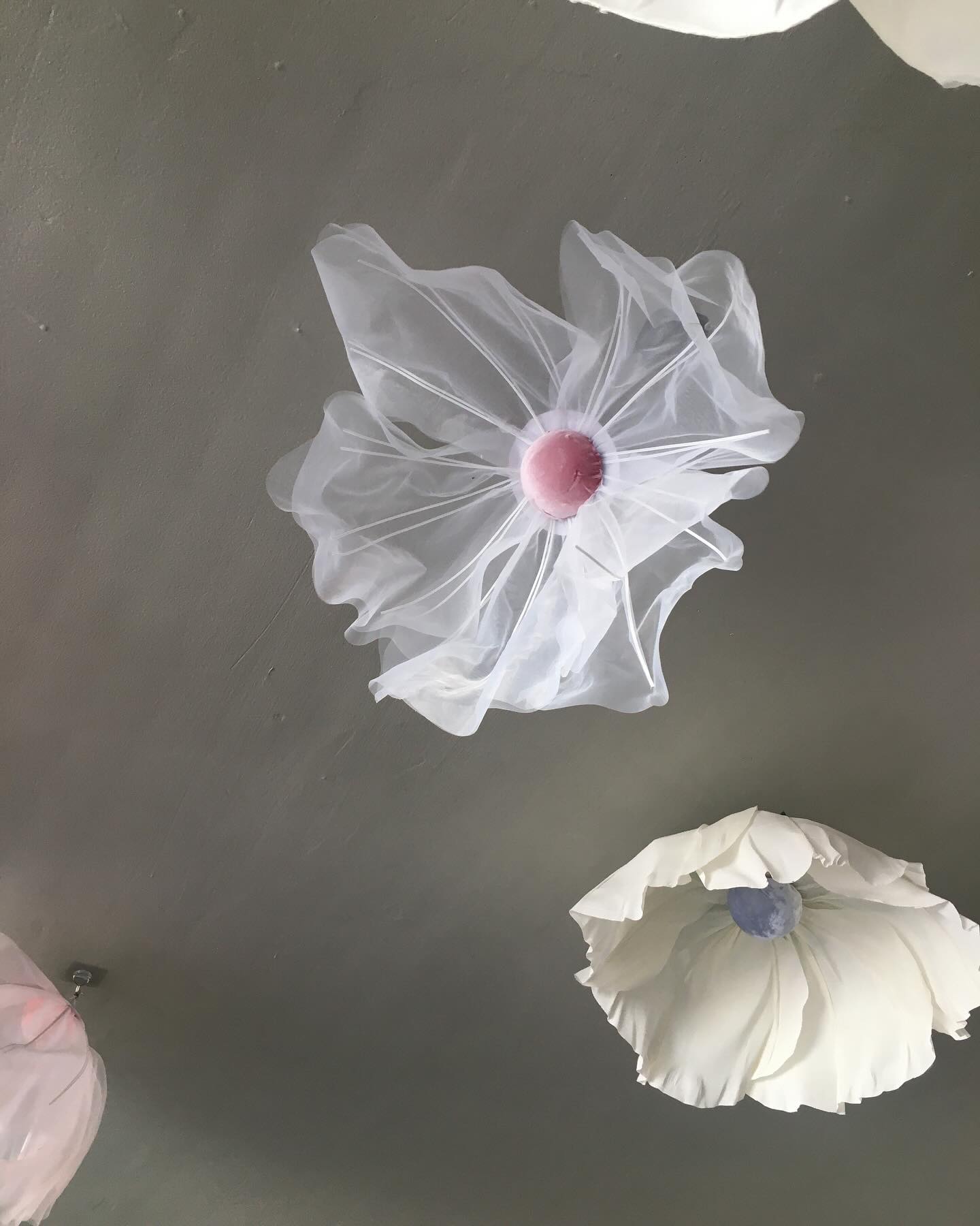 콘텐츠