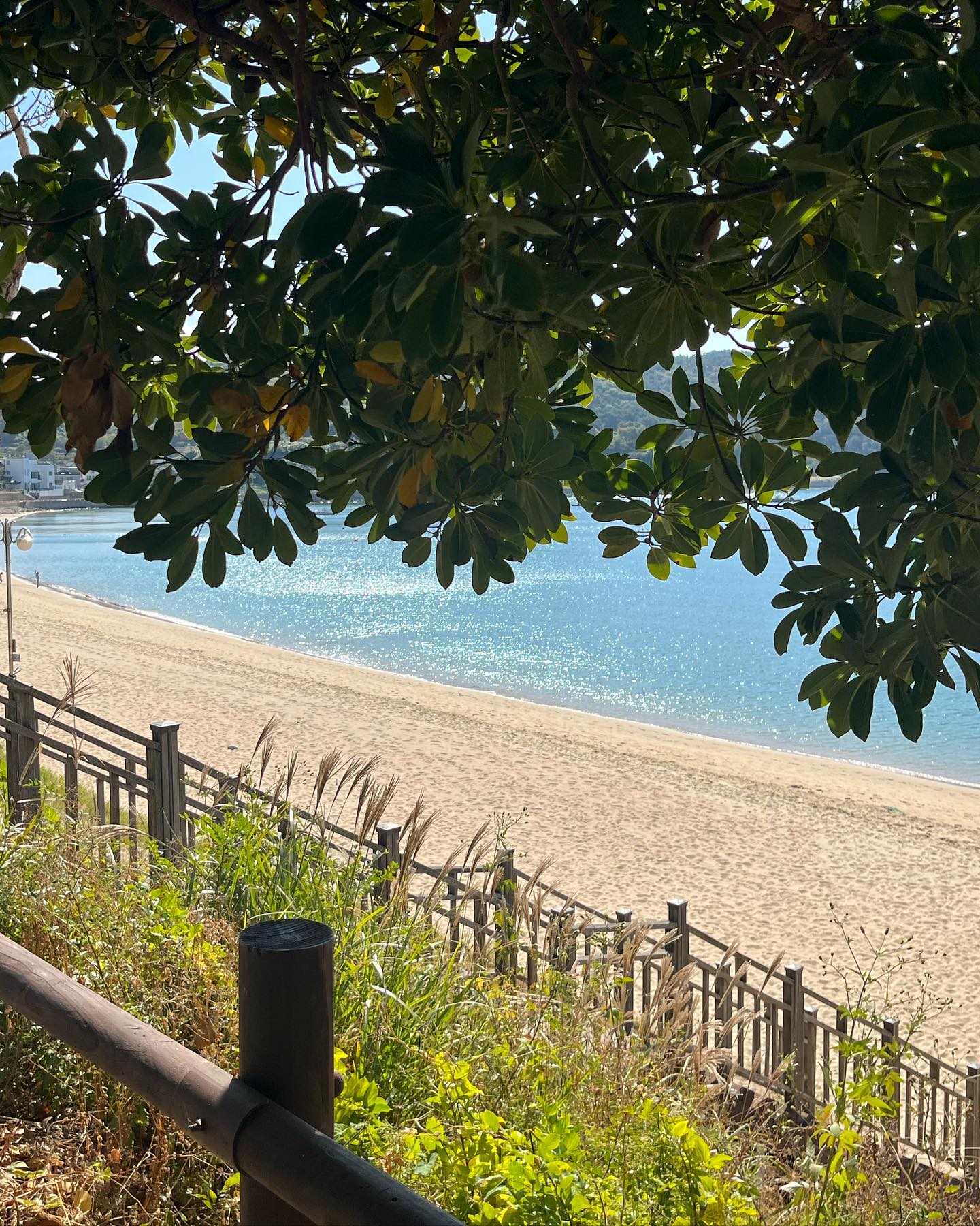 바다 + 윤슬 = 완벽 🤍