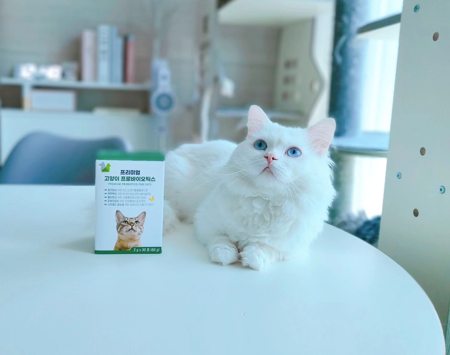 #광고

무른 변을 자주 보는 열무 냥이와
변비 냥이 찹쌀이를 위해 선택한 
유진바이옴 프리미엄 프로바이오틱스 
고양이 유산균💕

🔹️유진바이옴 고양이 유산균은❓️
✔️다니스코 17종 혼합유산균
✔️특허받은 항비만 유산균
✔️면역력 유산균 함유로~ 

👉우리 아이들의 무른 변과 변비에 
도움이 될 뿐 아니라 면역력을 높여주고 
체중관리를 해줄 수 있고요🐈🐈

거기에 12종 고양이 필수 영양제 함유로
건강 케어까지 가능해 만족하며 급여하고 있어요💕

분말 타입이라 사료나 간식 
또는 물에 타서 급여하면 되는데
저희 집은 다묘 가정이라 
사료에 뿌려주는 것보다
스틱형 간식에 섞어서 
1묘씩 바로바로 급여하고 있어요😊

북어 분말 함유로 기호성이 대박이랍니다👍👍

현재 3일째 급여했더니
우리 열무의 무른 변이 많이 잡혔지 뭐예요🤭

우리 아이들의 건강을 위해서 
꾸준하게 급여해야겠어요🐾🐾

#고양이유산균 #고양이설사 #아기고양이설사 #고양이변비 #고양이중성화 #유진바이옴 #고양이유산균 #고양이영양제