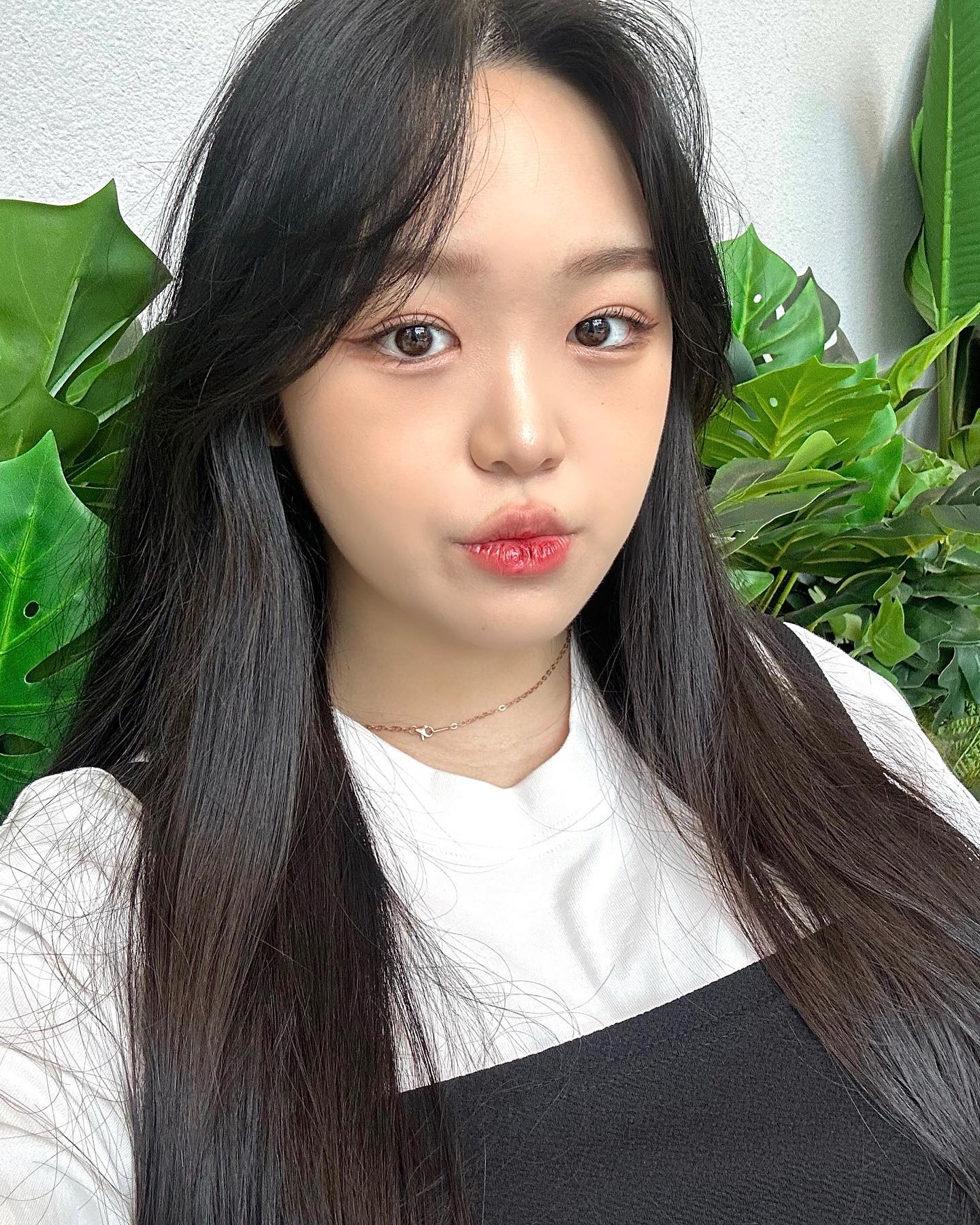 생존신고🫶