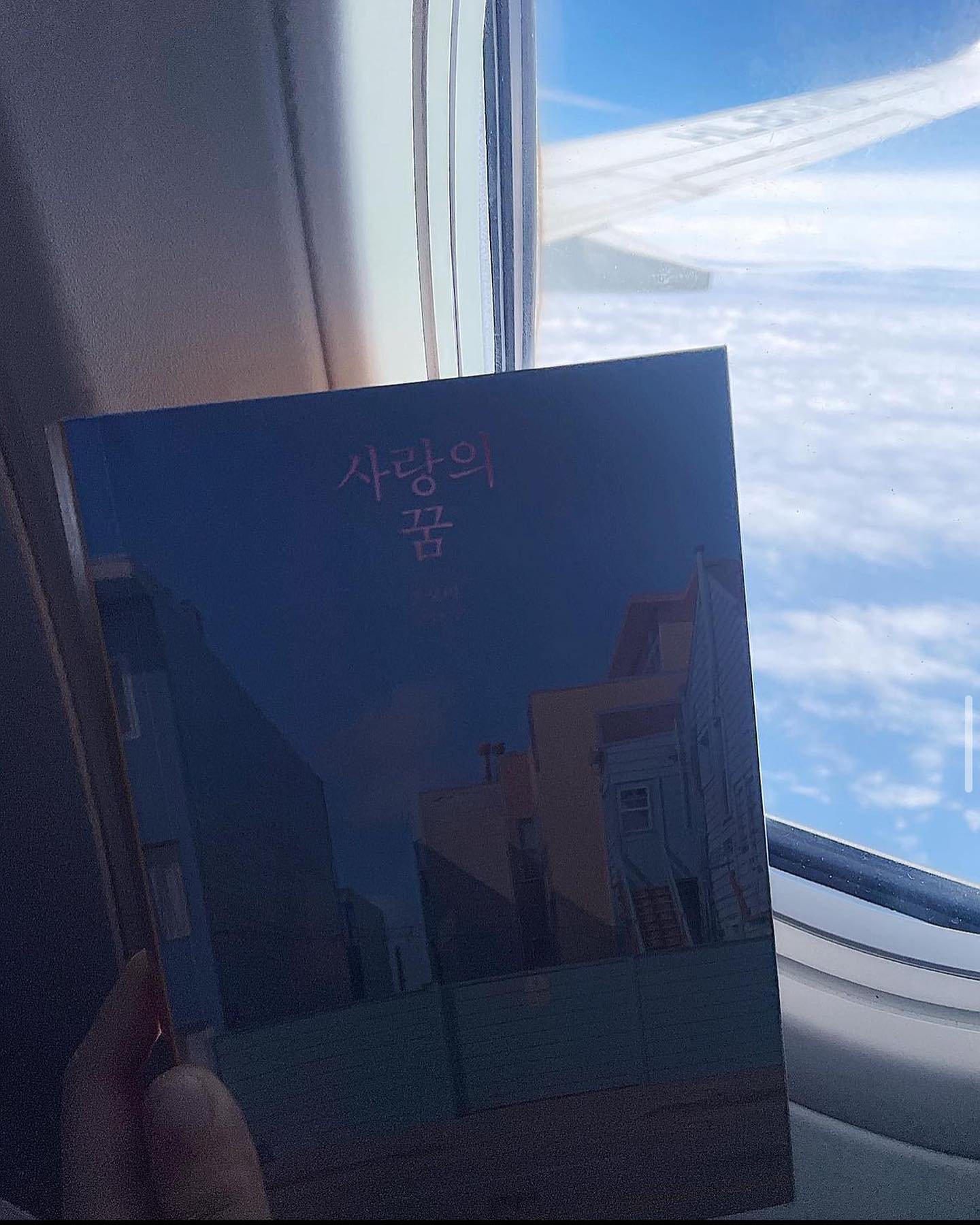 생각보다 어린이는 많은 것을 알고 있고 이해합니다. 어릴 적의 심연을 떠올리게 되었습니다. 오랜만에 억지를 부리지 않고도 예사스럽게 생각들이 뭉게뭉게 피어올랐는데, 어릴 적 어른들의 왁자지껄한 분위기가 무서웠던 기억이 떠올랐습니다. 예측하지 못한 순간에서부터 시작되는 이야기는 세세한 것들까지 세밀하게 묘사되어 인물들과 함께 감정이 살아 움직입니다.
.
#북클럽문학동네 #이달책 #손보미 #사랑의꿈 
#괌 #여행독서 #여행 #독서 #여행스타그램 #책스타그램 #북스타그램 #독후귤