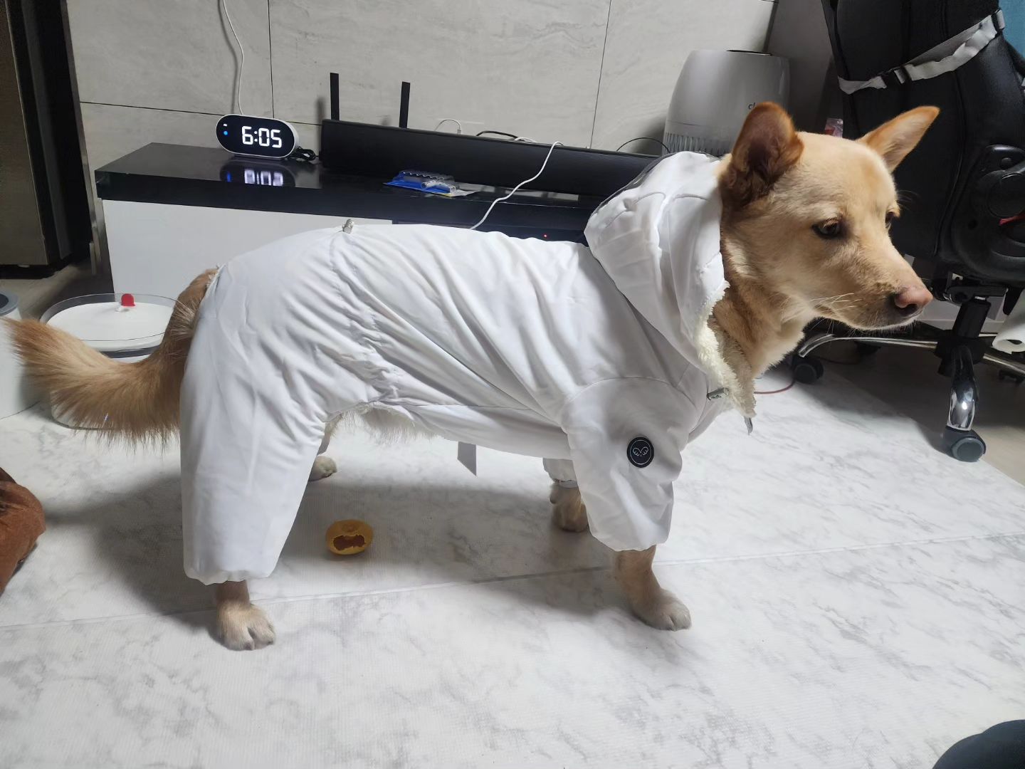 올인원 실패기

1. 허리가 길어서 낑김
2. 맞는듯했지만 산책하다보면 오프숄더각
3. 허리길이에 맞추니 다리길이가 안맞..

하.. 너어는 진짜 개성이 뚜렷한 체형이구나 ^.^

#강아지올인원패딩 #강아지올인원후리스 #강아지올인원야상
#다실패 #주문제작해주세요
