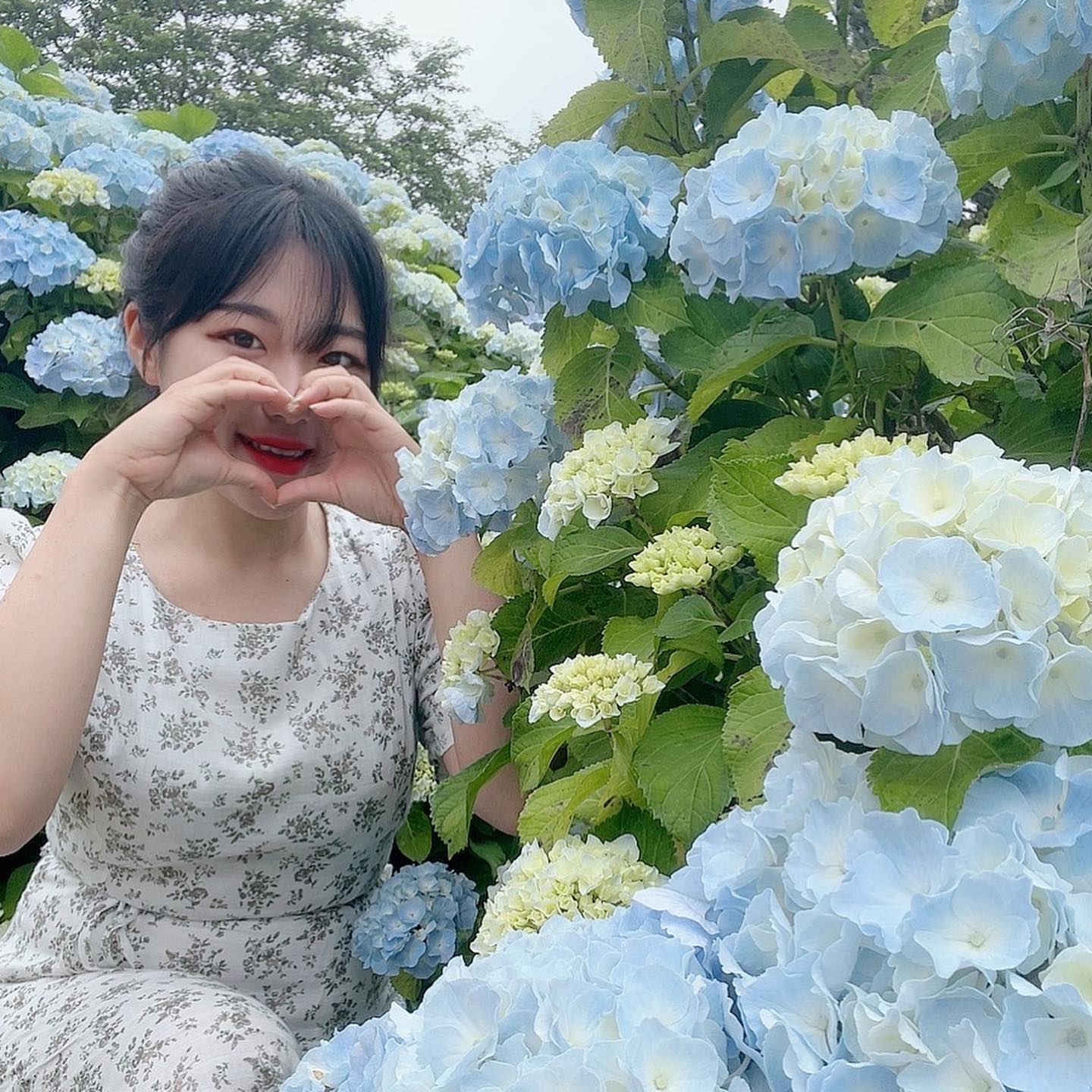 동쪽투어 내가 젤루 좋아하는 수국💙