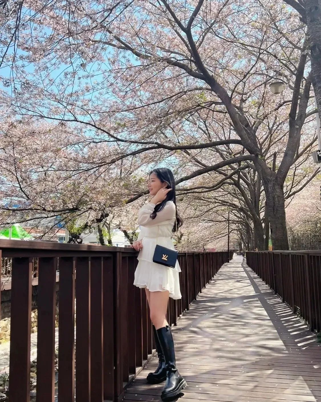 🌸🌸