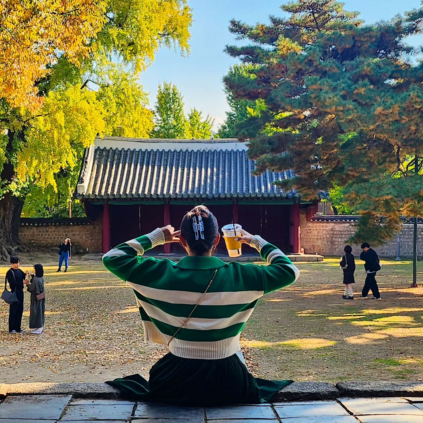나름 단풍놀이 였지만,

아직 푸릇푸릇허네,,

500년된 은행나무🌳

2주 뒤에 다시 만나요 🍁