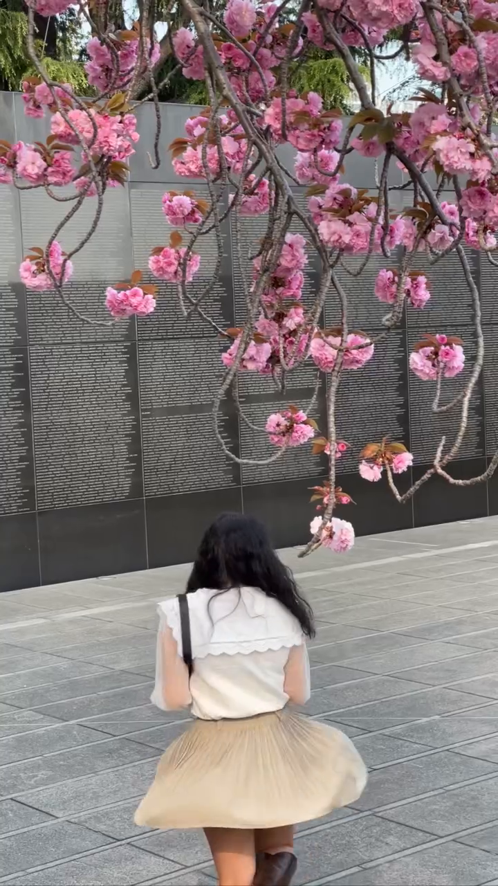 지난 2023 돌아보기 ❤️
많이도 돌아다녔네 ╰(*´︶`*)╯♡
내년엔 더 좋은 일만 가득하게 해주세요.