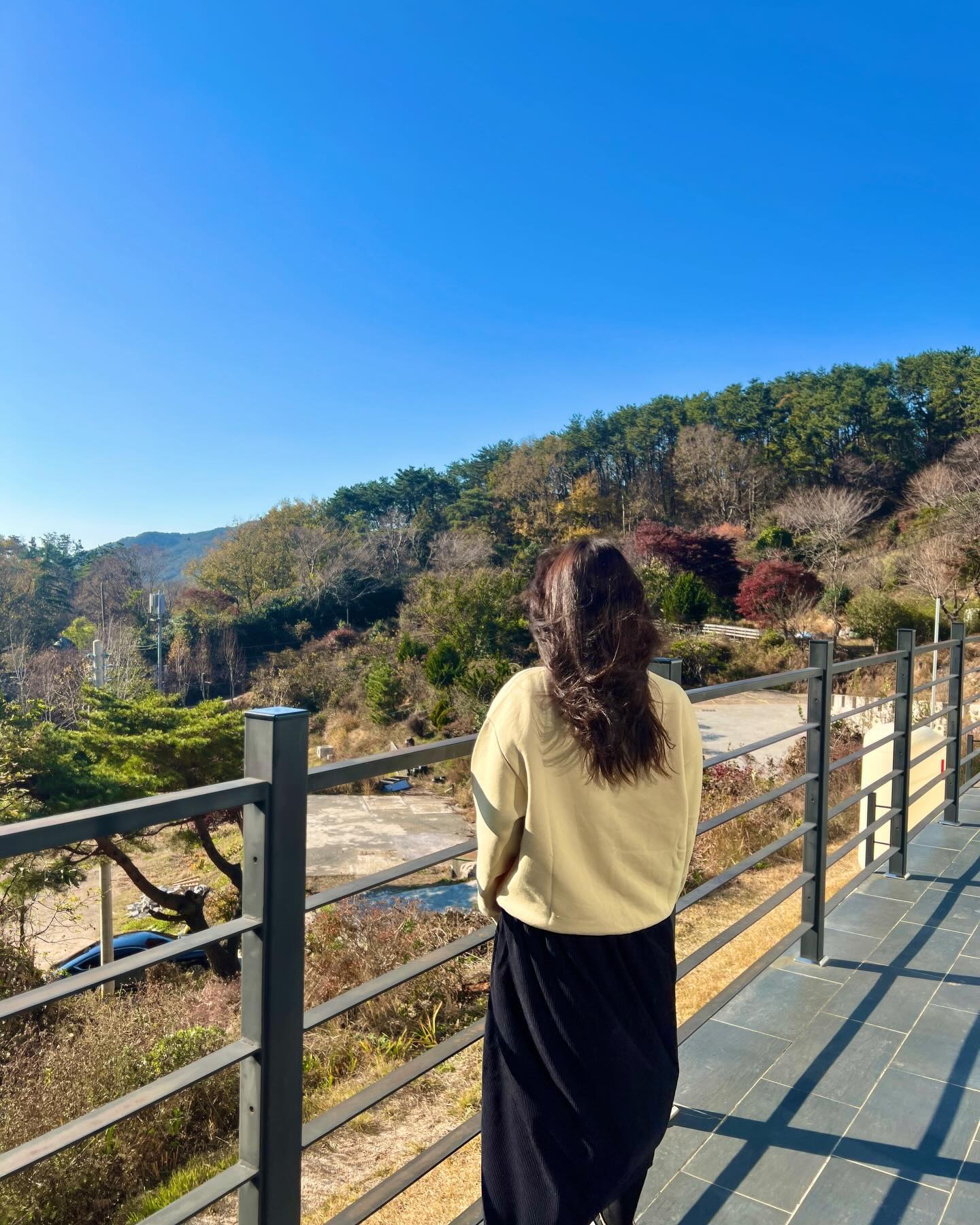 #아이리 #아이리카페

숲속 대형 카페
동화속같은 분위기
바람이 겁나 부는거 빼곤 만족🫶🏻

🎄🌲🌳🌴
#포레스트뷰카페
#허브와야생화