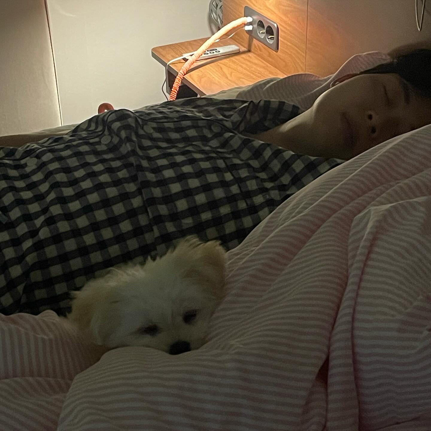 하품이가 나라다! 🐾