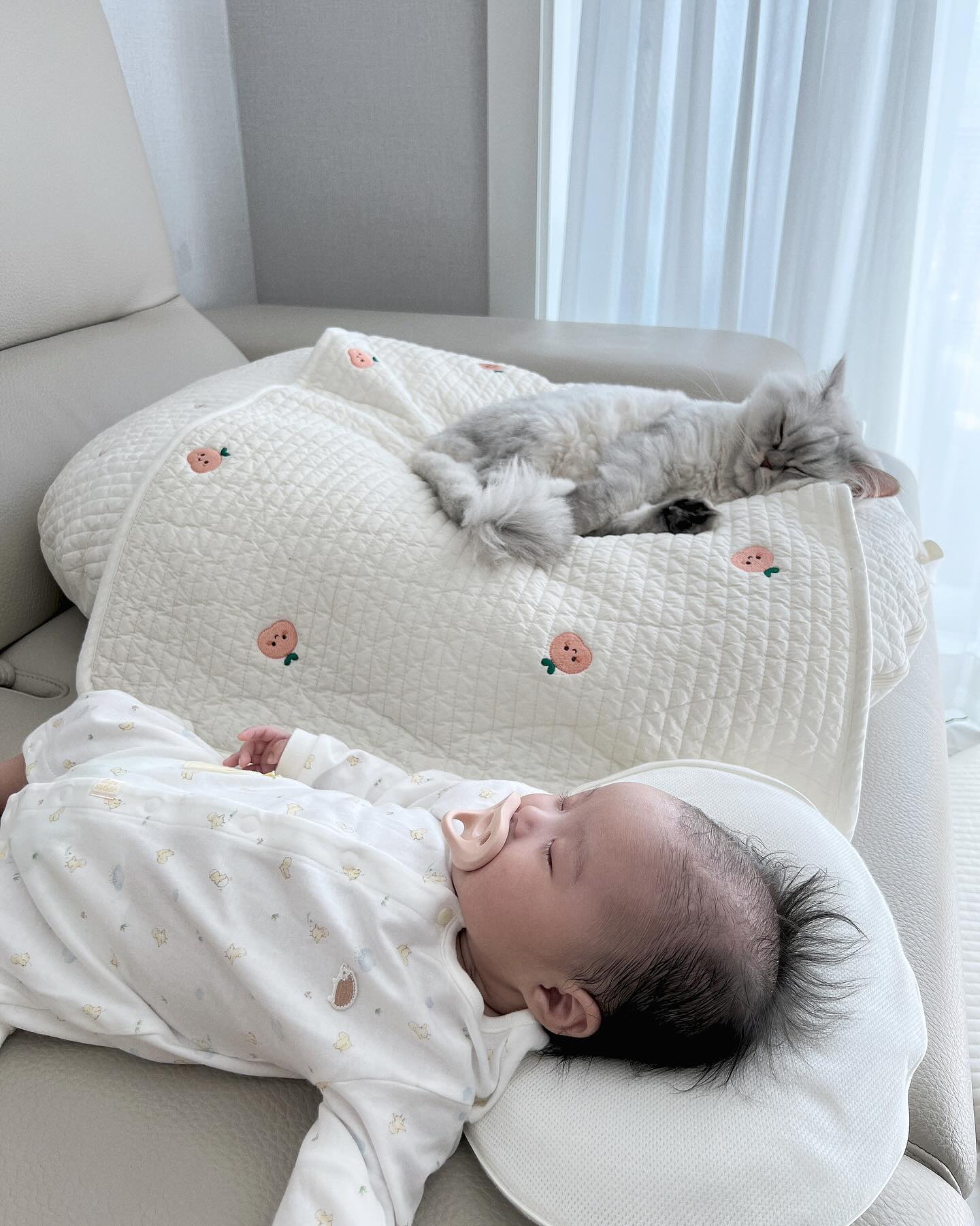오랜만에 꼬마 인사 드려요~ 꼬마는 아가꺼를 자기꺼마냥 쓰면서 잘 지내고 있어요! 정말 부러웠던 아기&고양이 투샷, 꼬마네도 드디어ᙏ̤̫

#보고만있어도행복 #육묘육아