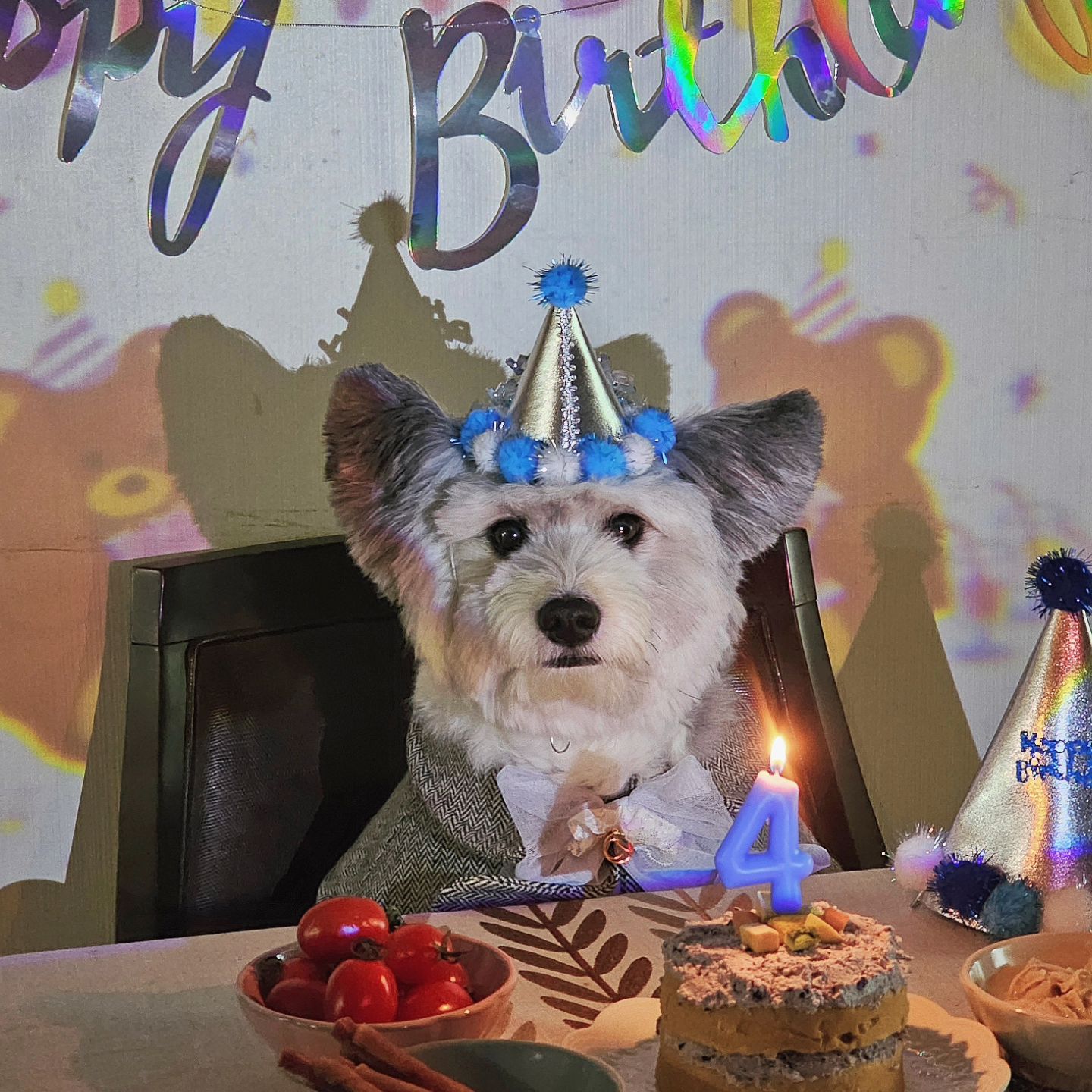 🎂오늘은 먼지와 만난지 4주년, 먼지의 4살 생일이에요🎂 3살 생일과는 뭔가 느낌이 많이 다른 이번 생일. 벌써 4살이라니... 시간이 너무 빠르단 생각에 가만히 있는 애깅이 괜시리 꽉 껴안아보고 그랬네요!ㅎㅎㅎ

점점 더 나와 찰떡같이 맞아가는 반쪽이라 더 없이 예쁘고 행복한 지금. 더 바라는 건 없어 여전히 잘먹 잘싸 잘노는 건강한 우리 똥장군이길🤍

feat 다이소로 꾸며본 조촐한 생일상
직접 만든 케이크와 특식 닭죽까지
맛있게 묵어랑😋

#20240103
#강아지생일파티
#우리가만난지4년째되는날