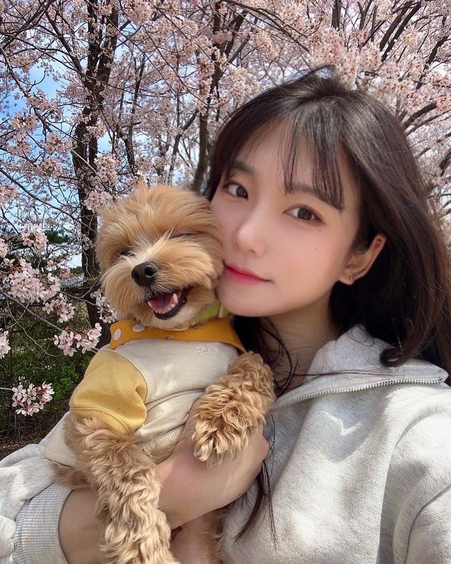 (∗ᵒ̶̶̷̀ω˂̶́∗)੭₎₎̊₊♡