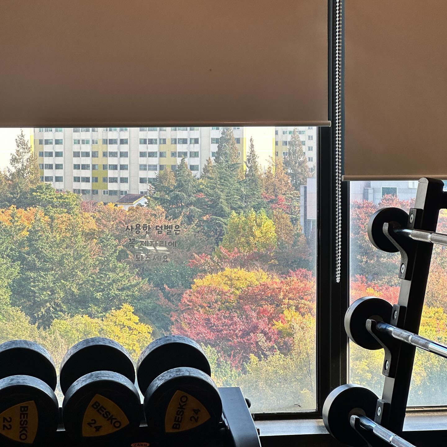 🍁
어제. 저녁약속 가기 전에 운동!
6시반에 만난 동기모임은 막차를 타고 헤어졌구요
그리구... 황씨에게 혼난 것 같습니다🤠