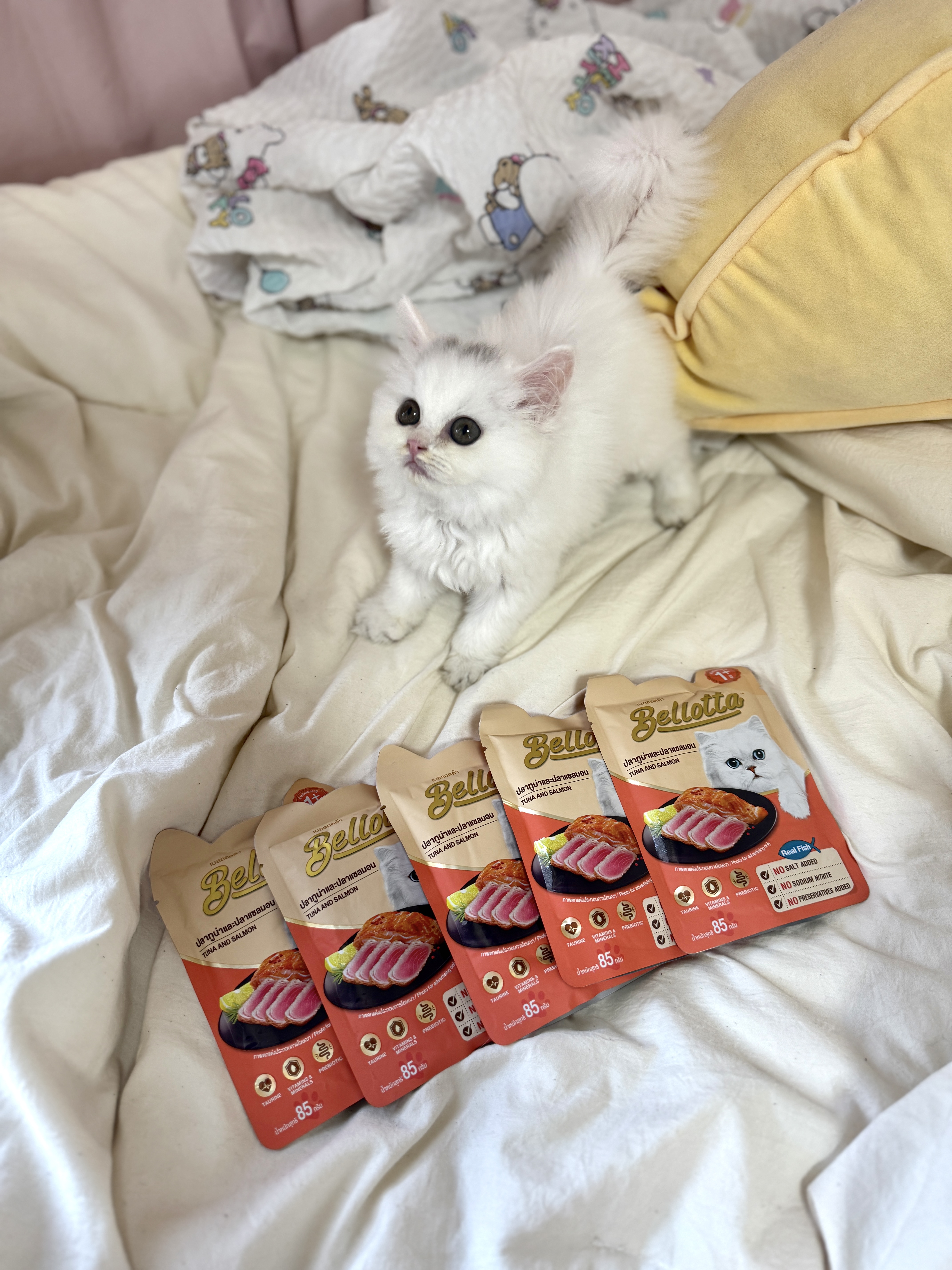 콘텐츠