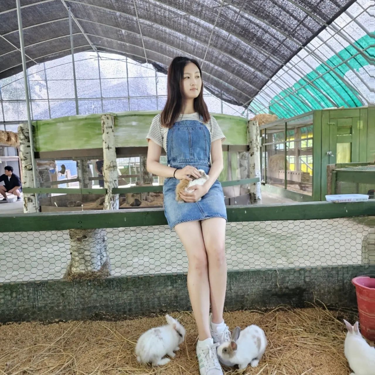 🐰🫶