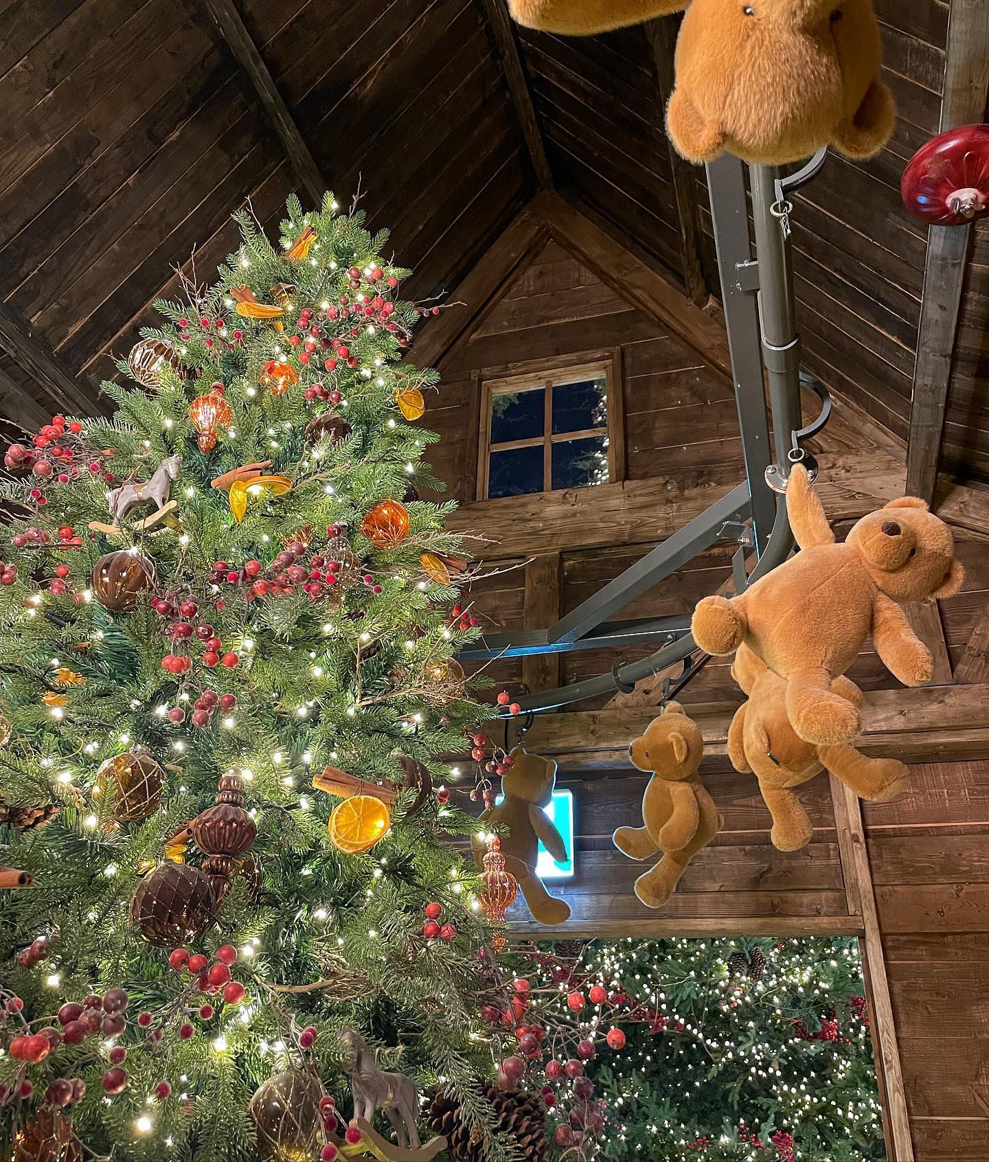 🎄