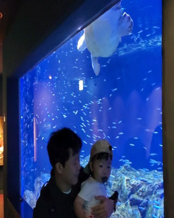첫 수족관 (#아쿠아리움) 가본 도겨미💕
우우와아 감탄하는거 왜케 귀엽🥹

#인생726일차