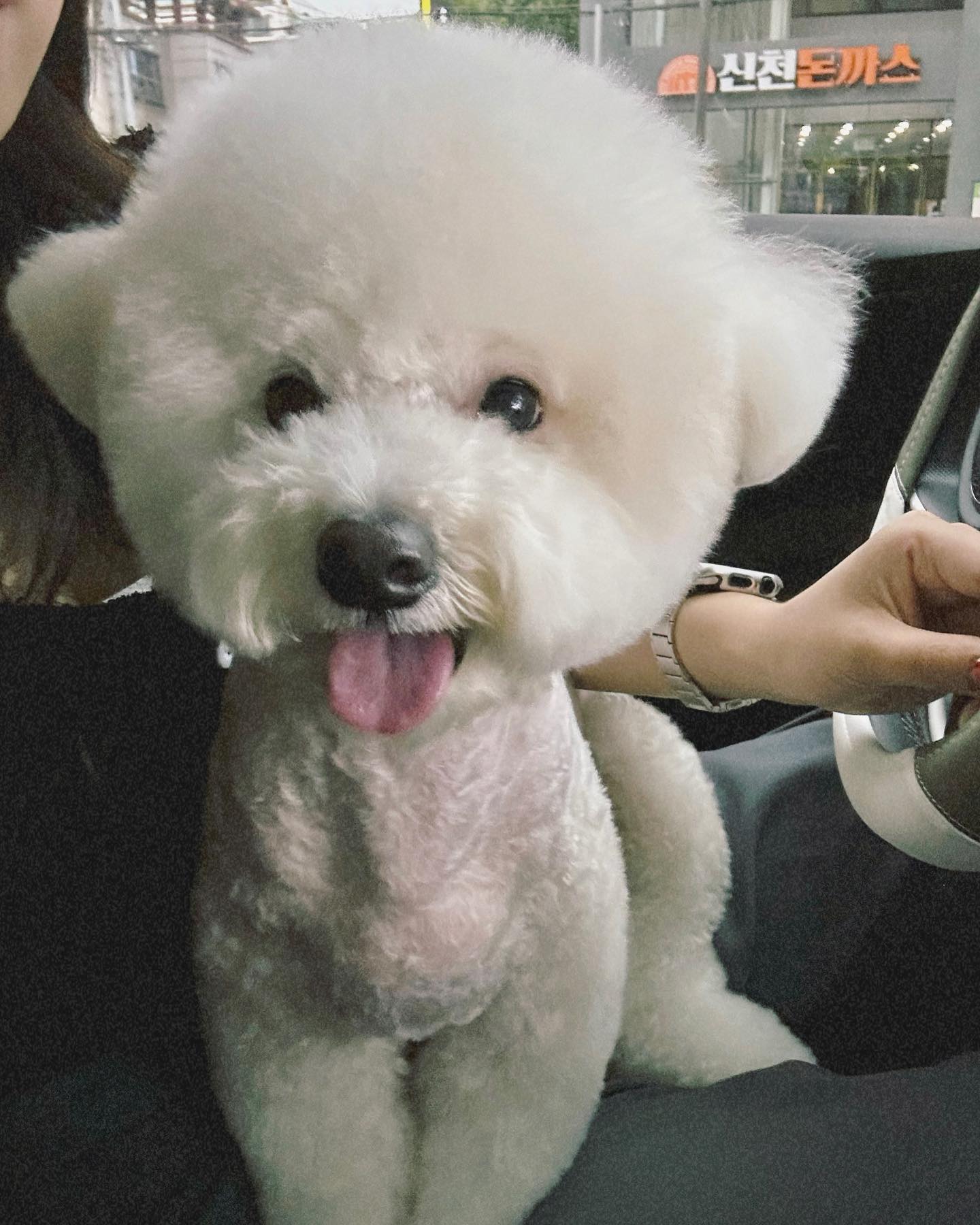 _내 둘도 없는 1등 보물.
