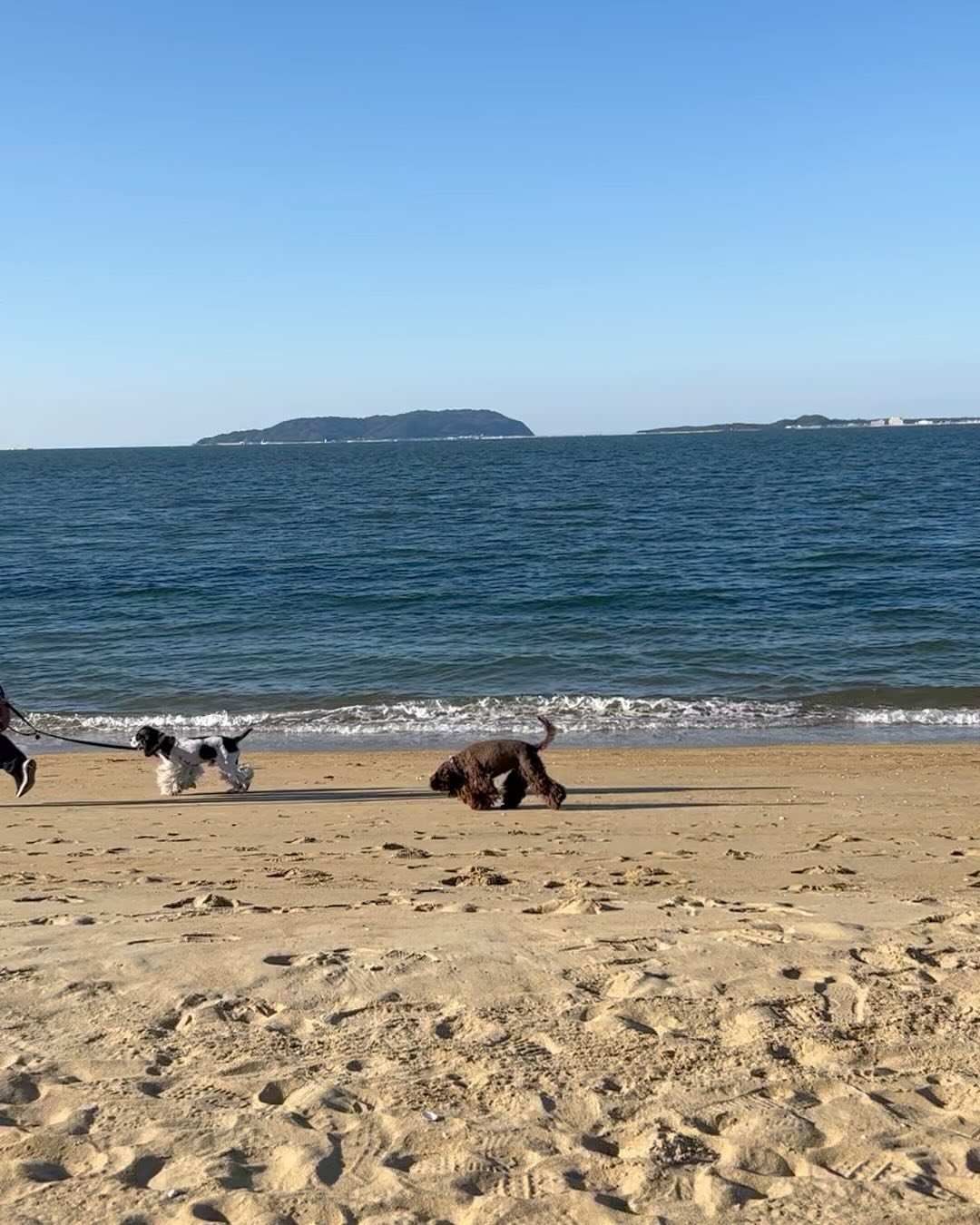 2023, 바쁘단 말을 입에 달고 살았는데,
막상 사진첩을 둘러보니 좋은 시간들로 가득해 그리 바빴나보다
2024, 덜 바쁘게 그 좋은 시간을 전부 느끼며 살아가기

모두 새해 복 많이 받으세요 ᰔᩚ