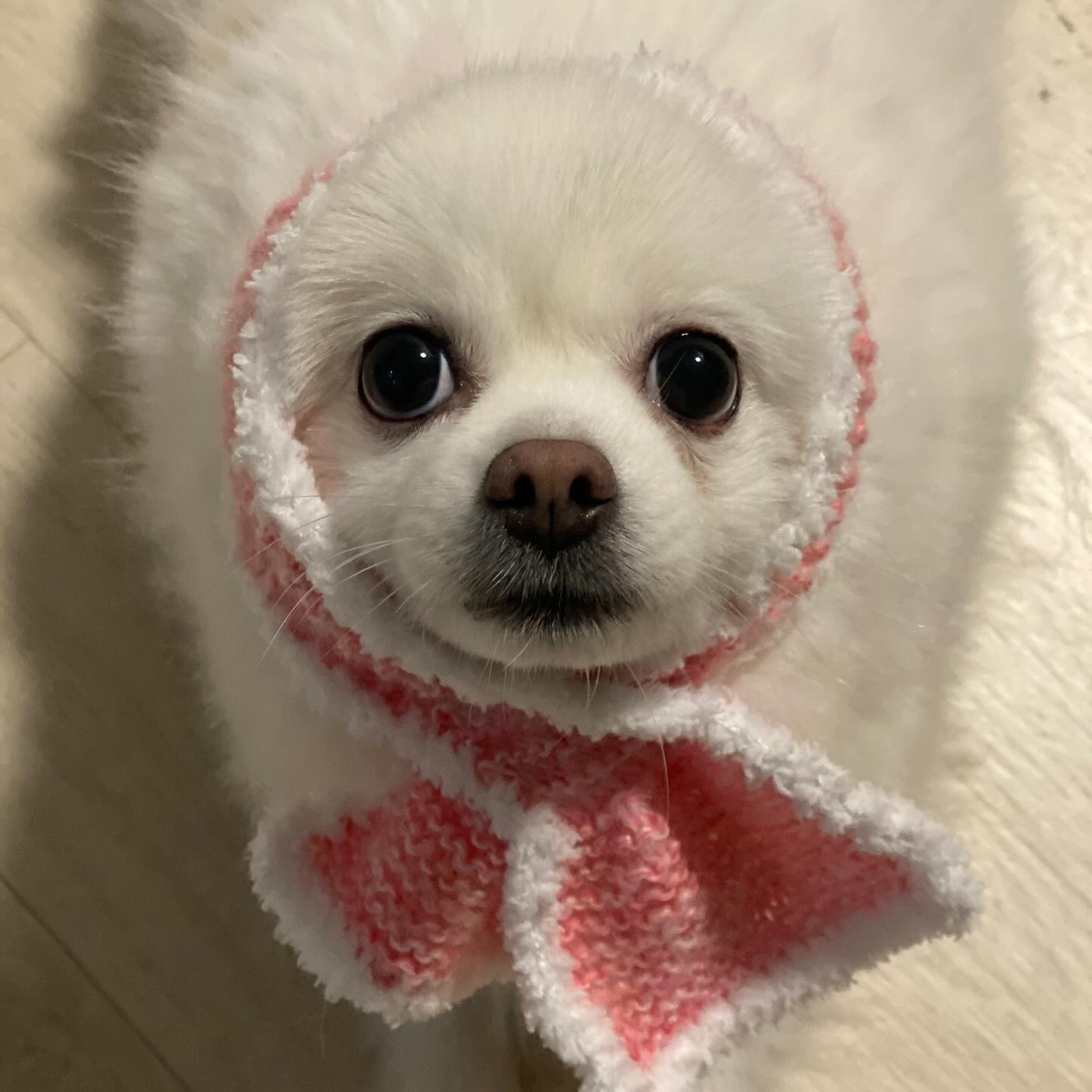 이쁜 나나 ㅋㅋㅋㅋㅋㅋㅋㅋㅋ 어이쿸ㅋㅋㅋ