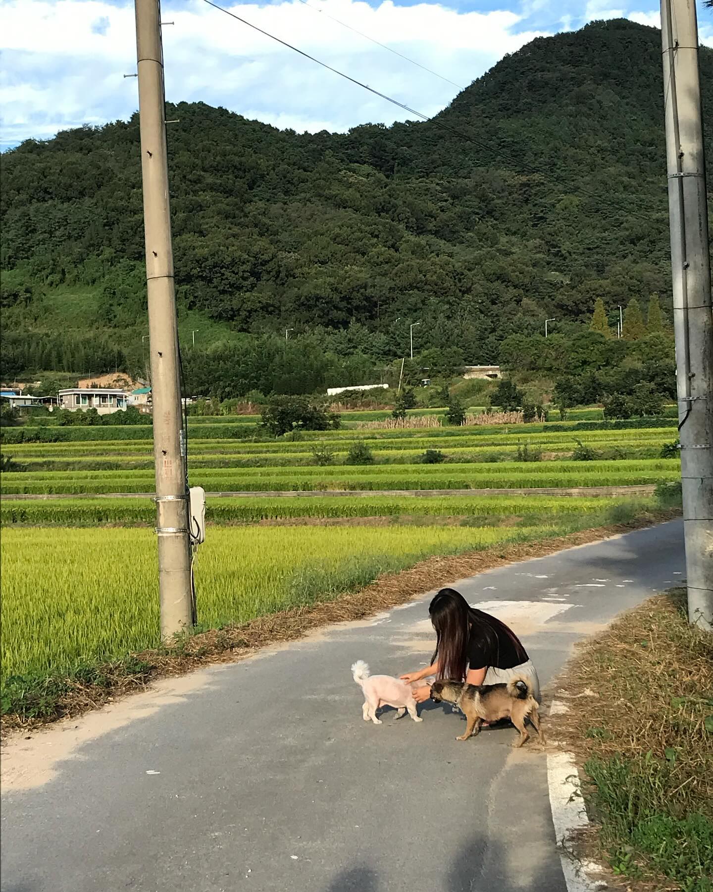 이것이 바로 시골 일상✨,,,
.
.
.
#시골 #시고르자브종 #상주 #멍 #가족 #사촌 #사촌동생
