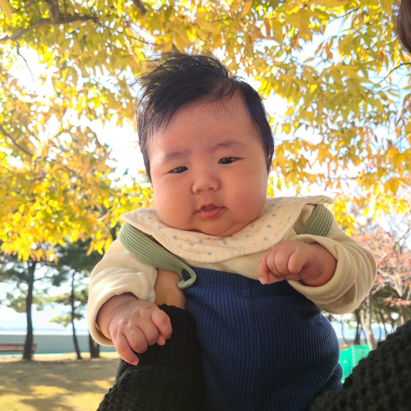 👶+77day
2023.11.09 가을나들이 🍁 
가을이 금방 지나가는 구나~~
.
.
.
#신호공원 #햇빛좋은날 #가을나들이
#부산 #명지 #육아 #아들맘