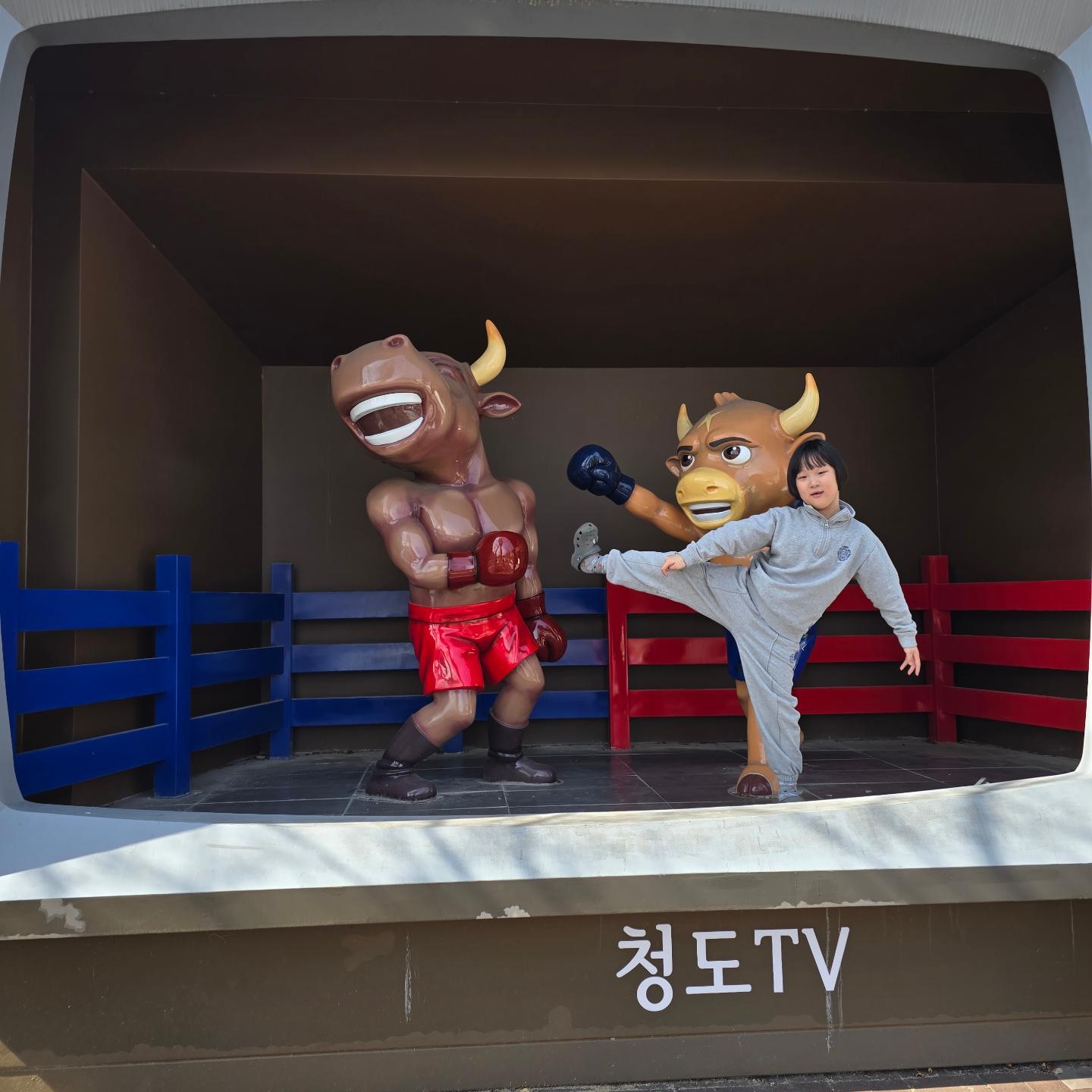 🌟✨ 청도 🐂 소싸움 대모험 🌟✨

✨🚗 이번 주말, #청도여행 🌳 에서 
🌈 특별한 경험을 🎉 했어요! 호성이와 함께 #청도소싸움경기장 🏟️ 에 방문했습니다. 

주로 주말에 경기가 오픈한다고해요

⏰ 12시부터 관람료는 전혀 없이 🆓! 
그야말로 무료로 즐겁게 관람할수있는 시간~😄😆 

게다가 관람객들은 #우권 으로 배팅에 참여할 수 있는데, 이건 정말 새로운 경험이었어요. 

두 번이나 배팅에 성공해서 호성이 과자값까지 벌었다니, 운도 정말 좋았답니다! 😄🍀

👨‍👩‍👧‍👦 가족 단위 관람객들 사이에서 아이들의 열띤 응원을 볼 수 있었어요. 에너지가 넘치는 분위기 속에서 호성이도 마음껏 응원을 펼쳤답니다. 이런 소소한 순간들이 모여 행복한 추억을 만드는 것 같아요. 🎉👏

🚶‍♂️ 경기 관람 후, 바로 옆에 있는 #청도소싸움미디어체험관 으로 향했어요.

여기서는 어른 3,000원, 어린이와 청소년은 2,000원이라는 저렴한 가격으로 
다양한 체험을 할 수 있는데요

역사문화관에서는 소싸움의 유래와 역사를 미디어아트로 살펴보고, 🎥4D 영상 체험관에서는 8분간의 소싸움을 주제로 한 몰입감 넘치는 영상을 관람했어요. 
아이들을 위한 더 많은 체험들도 있있답니다. 🎨

🎉 기대하지 않았던 만큼, 
이곳에서 보낸 시간🕒은 나름 괜찮았어요. 
다양한 체험과 놀이로 가득 찬, 나름대로 시간을 보낼 수 있는 장소였다는 생각이 들어요. 💖

이번 주말은 정말 소소하지만 
특별한 방식으로 잘 보낸듯합니다^^.
🔋충전된 만큼, 이번 한 주도 
열심히 보내볼 생각이에요! 💪🌈

#주말나들이 #가족여행 #문화체험 #일상공유 #충전주말 #청도소싸움대모험
#가족과함께청도 #주말충전여행
