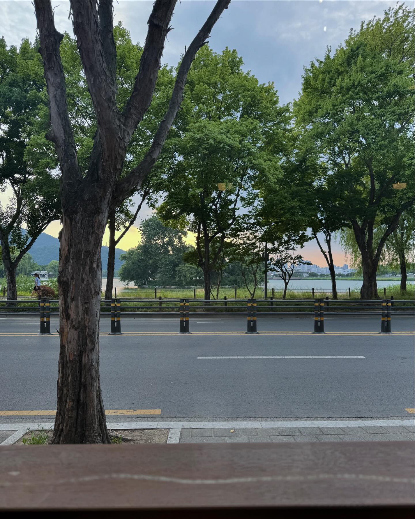 콘텐츠