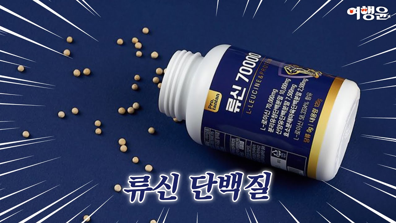 중장년층에게 필수! 류신단백질 추천 및 효능 | #프로탄탄
