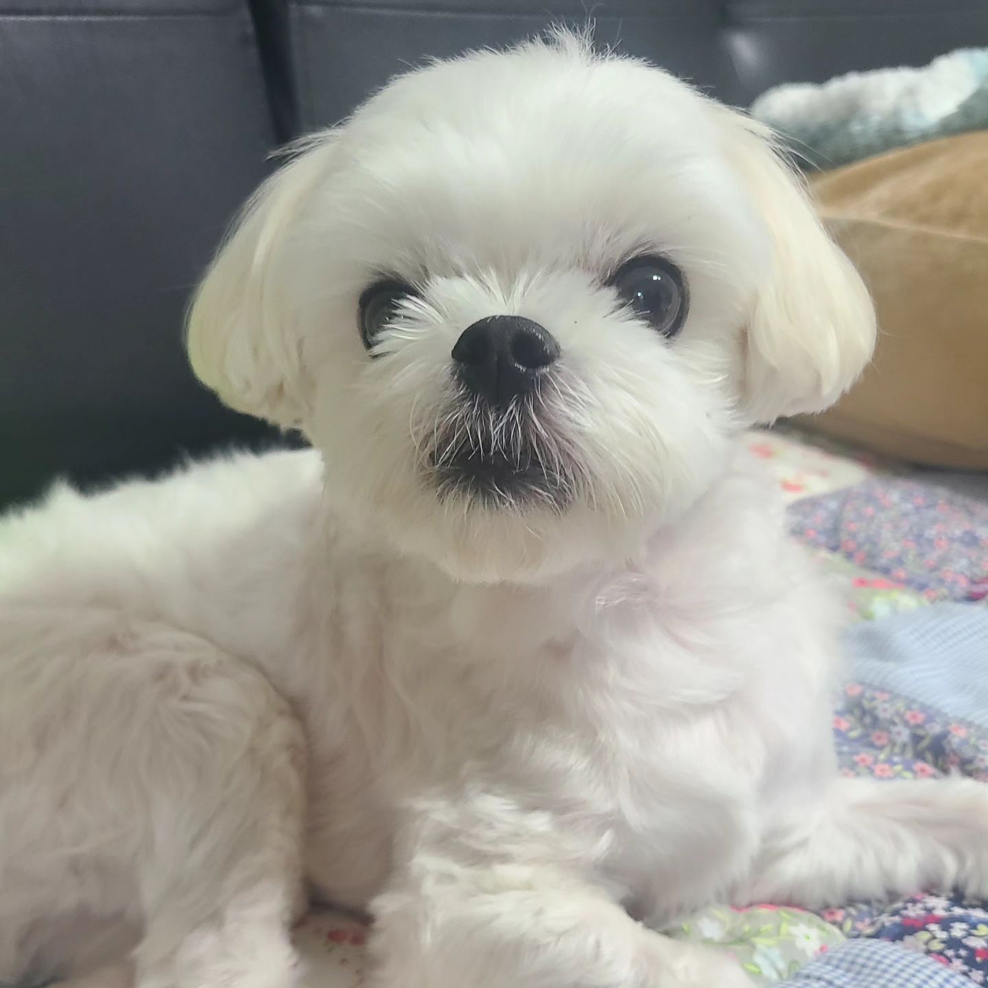 똘망똘망!