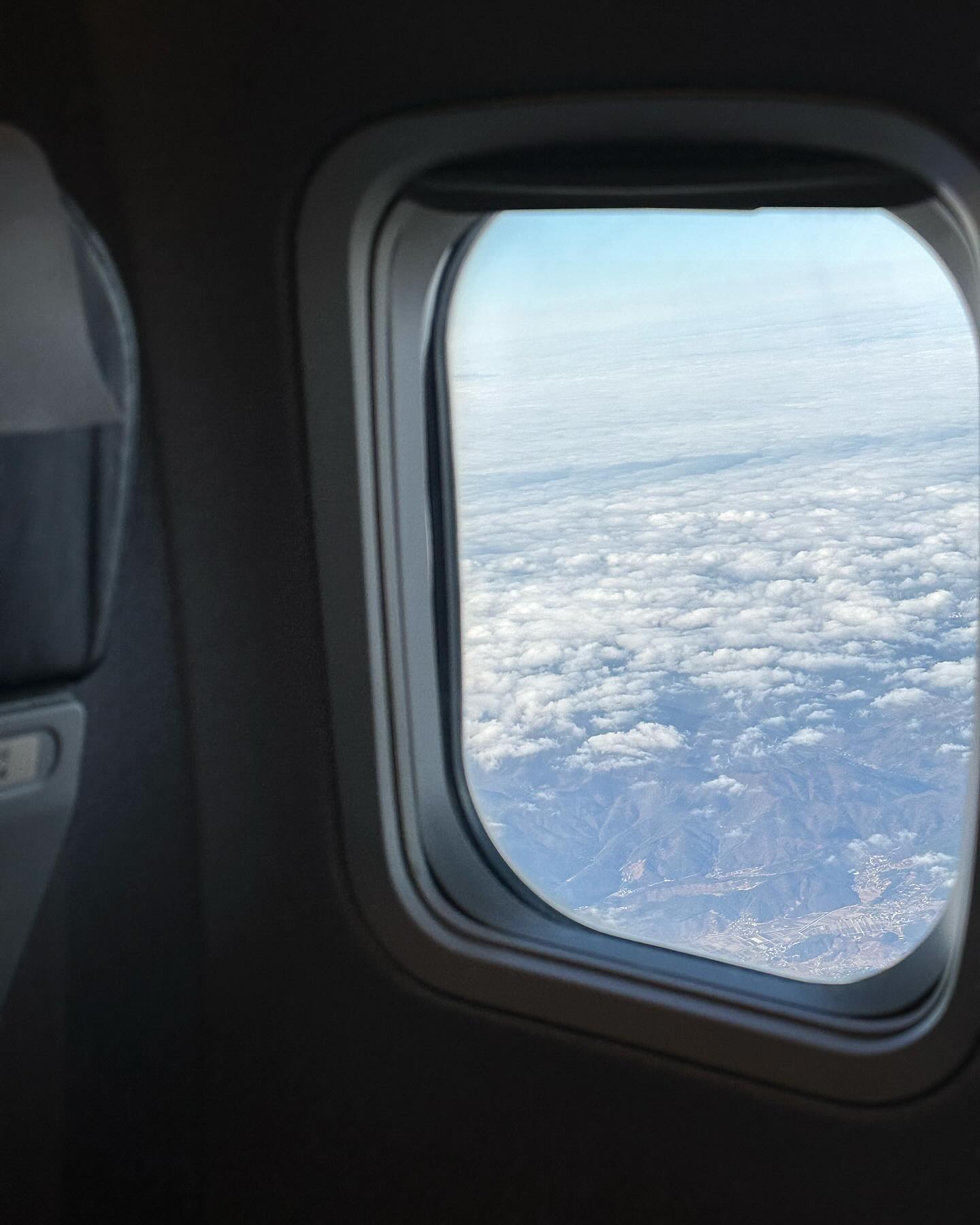 🛫🏝️🌼