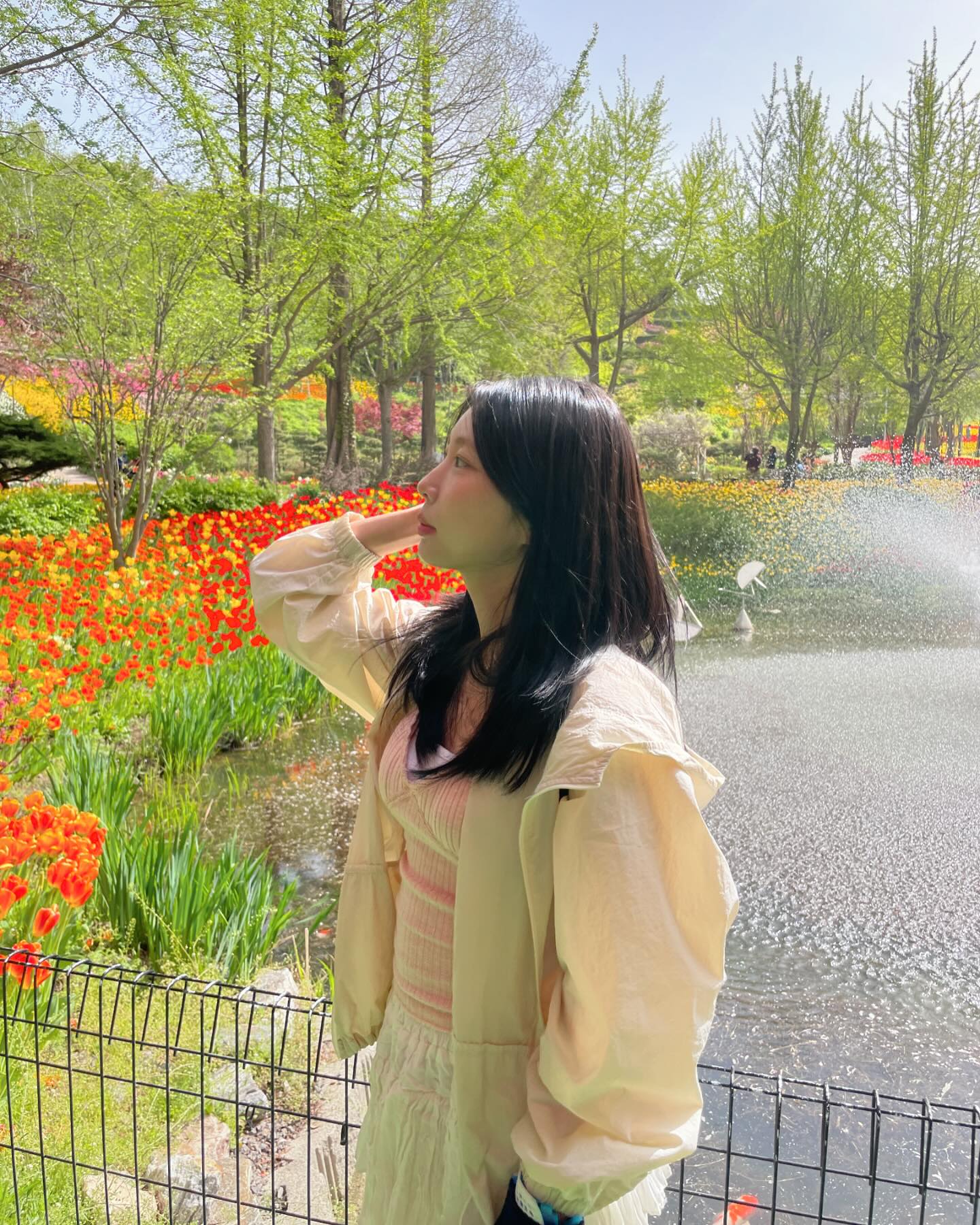 콘텐츠