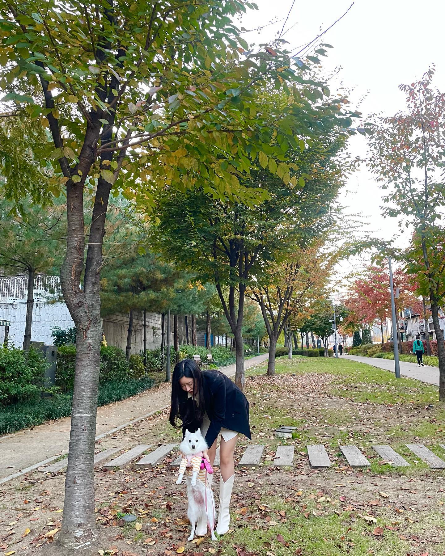 🐶🍁

#산책 #가을 #댕댕이