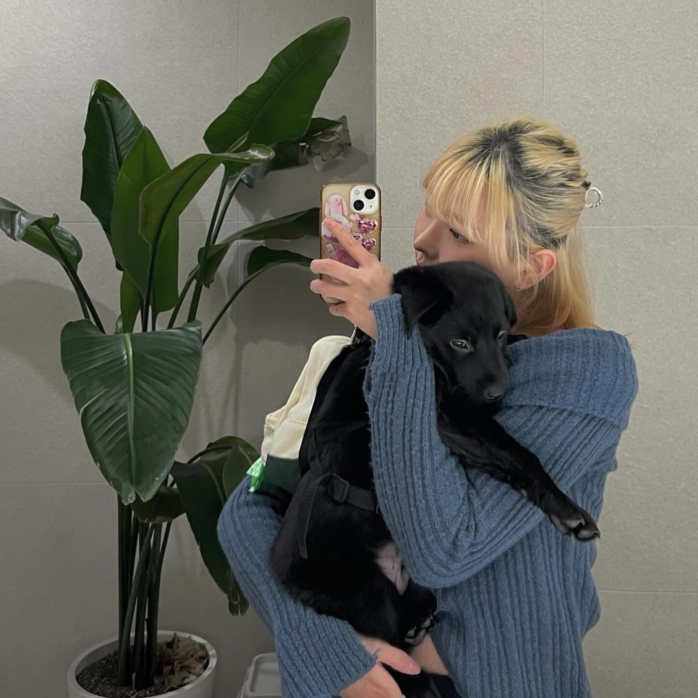 🐕‍🦺🐾🖤