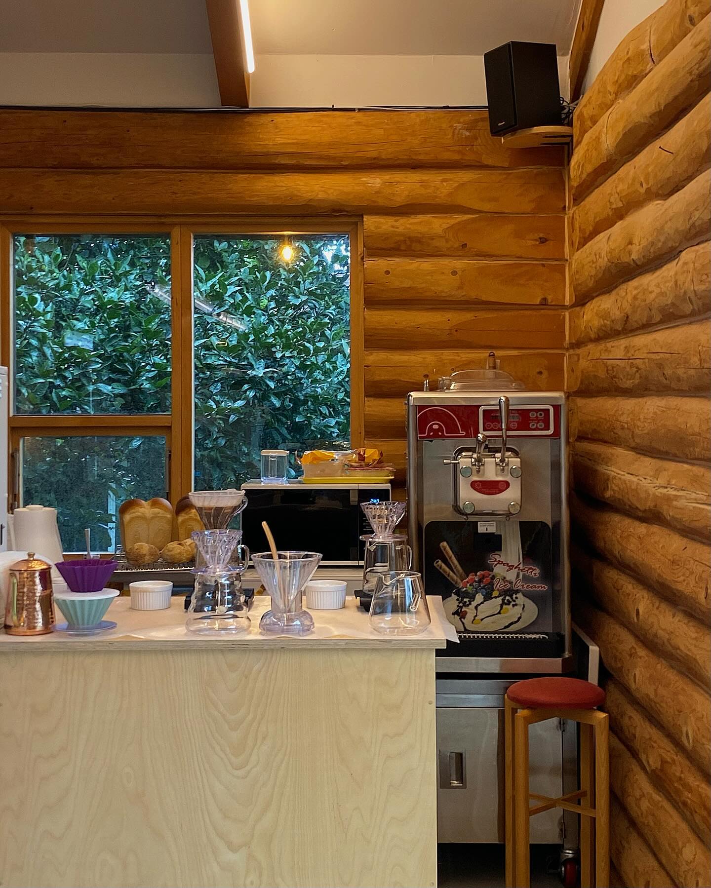 여름방학 끝나가는 중..🥨☕️🌿