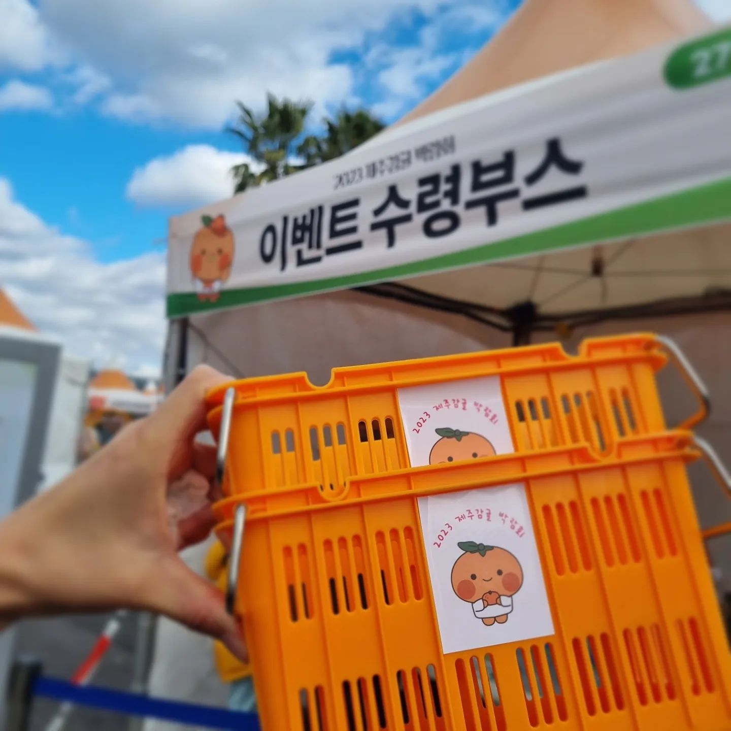 차니라이프💕

첫날 혼자 다녀오고
오늘 차니랑가서 만보찍고왔어요🙃

중간중간 투닥투닥했지만
3시간 알차게 보냈답니다🍊

엄마는 미니콘테나를 받고싶었는데 선착순 성공!
QR아니고 설문지로 하고있으니 참고하세요

차니는 미로공원이랑 민속놀이하기♡♡
본인놀러왔는데 왜 엄마마음대로 하냐며🤣
결국 스머지 체험은 못함
월요일 또 갈까?🤔

텀블러 챙겨서 감귤착즙주스 마시고
뽑기이벤트도 놓치지마세요 :)

영수증이벤트는 영수증제출이 아니라
따로 응모권작성해야하니 결제시 영수증이벤트한다고하세요!
저는 결국 못하고옴😭

주말 주차 어려우니 길가 노상주차하고
많이걸어야하는거 참고~!!

아! 꿀팁 대방출하고싶은데 블로그기록하고
가는사람 알려줘야지🤭

여유있게 하루 즐기다와도 좋아요✔️

#제주감귤박람회
▪️행사기간11.30.목 - 12.4.월
▫️운영시간 10:00 - 17:00
▪️입장료2,000원
(제주도민 신분증지참1,000원/13세이하?무료)

#제주감귤박람회 #제주감귤 #제주행사
#서귀포농업기술센터 #감귤따기 #감귤체험
#주말즐기기 #주말육아 #제주아이와함께가볼만한곳 

citrus_expo
