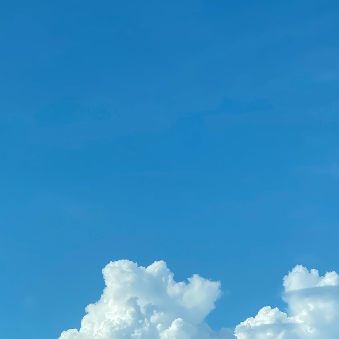 ☁️
이 날은 하루종일 파랑파랑구름구름
여름은 참 덥지만 
자연이 주는 위로 덕분에 버틸 수 있는 것 같다🩵

#구름좋아하는사람 #여기여기붙어라