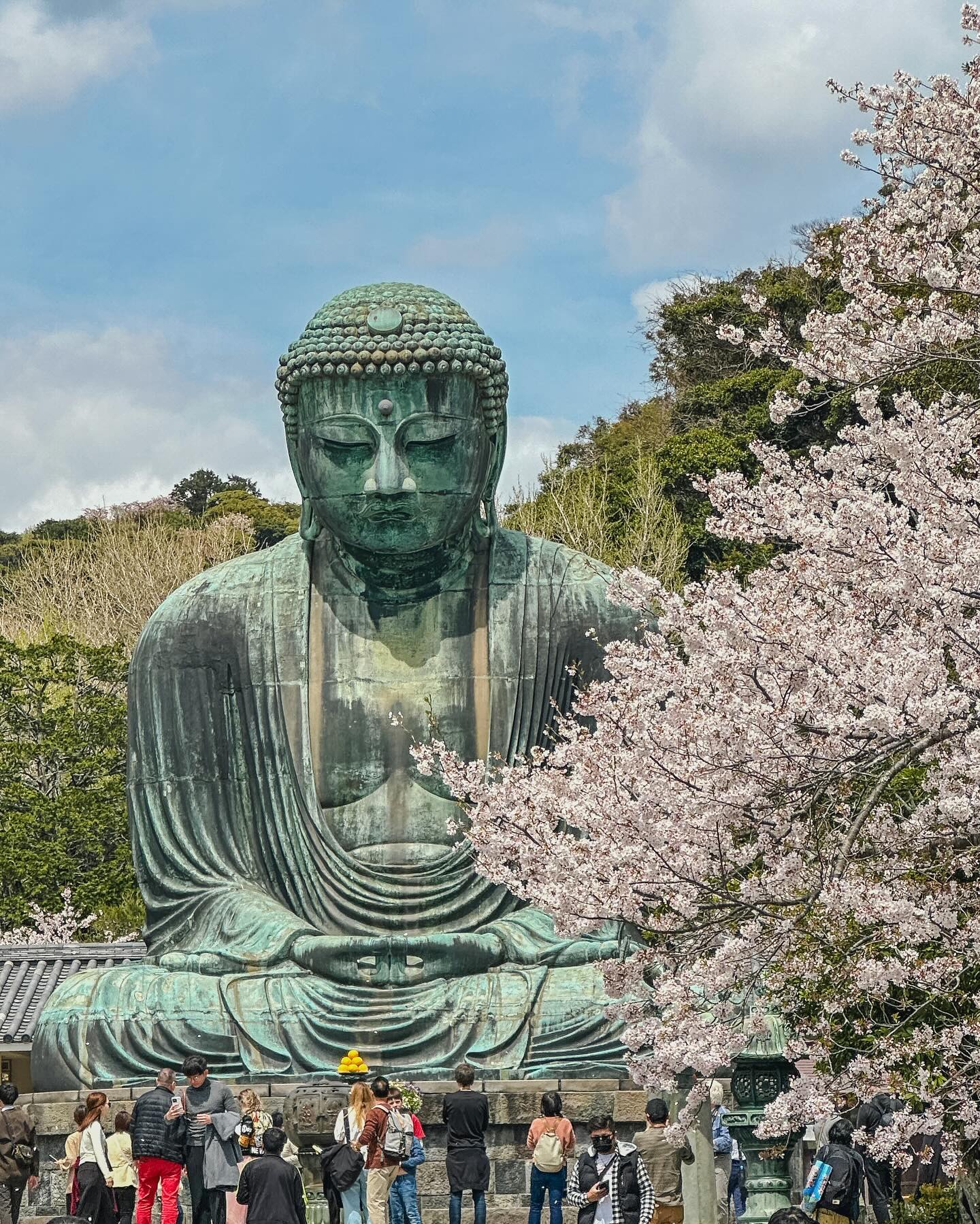 ⛩️
가마쿠라 - 츠루가오카 하치만궁
(입에 붙지 않는 이름..너무 어려웡)
.
.
.
도쿄에서 약 1시간 30분🚅
이모 추억의 장소인 에노시마도🗻
내가 가고 싶었던 가마쿠라고고마에 에키도🏀..
엉망진창이었지만 그래도 츠루가케 뭐시기는 좋았다!