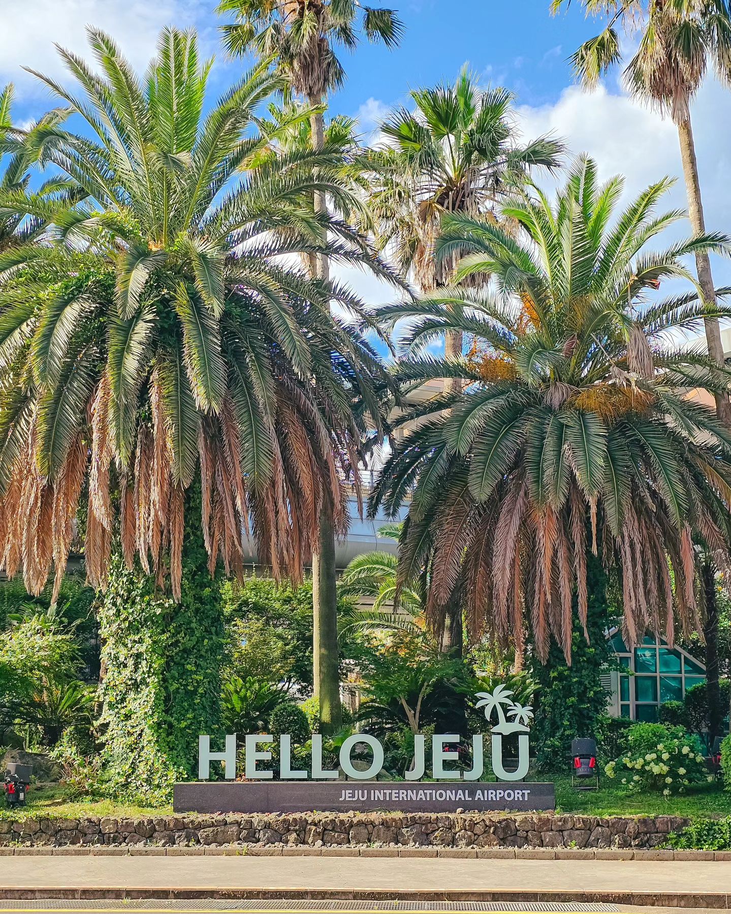 #나를사로잡는순간 🌴 

이번 제주 여행 메이트 🍑 
오락가락하는 날씨 속에서 고생깨나 했어도 즐거웠다. 

✔️ 2024년 7월 25~26일 촬영 
✔️ Shot on Galaxy S23 Ultra
