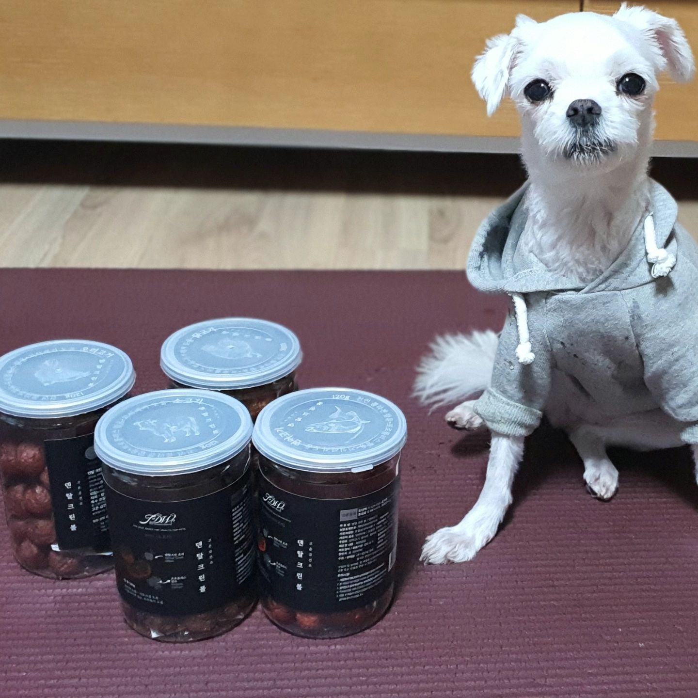 #협찬 파라솔몰 덴탈크린볼 애견 강아지 간식껌

양치질만 하려면 입질하는 우리 강아지 세랑이. 포기하고 2~3년에 한 번씩 스켈링 해주고 있는 형편이에요. 
잘 안 씹고 삼키는 우리 강아지라서  소화문제로 강아지 딱딱이 간식은 안 주거든요. 
하지만 덴탈크린볼 강아지껌은 엄선된 원재료(소고기, 연어, 닭, 오리)를 반죽해서 고온급건조했고  딱딱한 덴탈껌이 아니라서 급여 가능해요. 

강아지 양치질이 어렵고 힘들다면 덴탈크린볼을 하루에 여러번 급여해주면 강아지 면역력, 피부,피질에도 도움이 되고 치석제거에도 좋아요.

 안은 발포형태이고 냄새가 넘 좋아요. 저도 조금 잘라서 맛보았는데 맛있어~~맛있어요. 강아지에게 파라솔몰 덴탈크린볼 강아지껌 냄새는 먹고 싶어서 못 참을 것 같아요. 기호성 굿...

우리 세랑이 치석아, 다 없어져랏.

https://smartstore.naver.com/palasol/products/9565818652 

#강아지사료 #강아지간식 #애견용품 #강아지수제간식, #강아지영양제, #강아지치약
#강아지칫솔 #강아지껌 #강아지치석제거 #애견간식 #강아지입냄새 #강아지덴탈껌 #파라솔 #파라솔몰 #덴탈크린볼