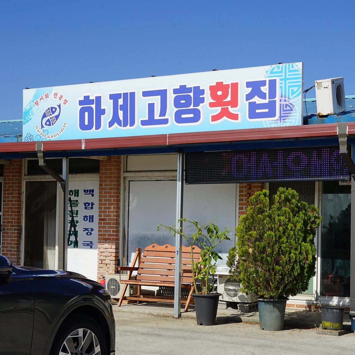 :) #모닝막걸리를부른다,

시집간 딸에게 박대를 선물하면,
버릇이되어 친정에 자주 들른다는 말이
있을 정도로 그 맛이 기가막히다는
10월~12월이 제철인 박대구이
고소해고소해 와진짜그냥 미쳤잖아ㅋ
막걸리는또왜이렇게맛있어? 역시생막걸리,
#군산에가야할이유가하나더생겼다!
#정말맛있게잘먹었습니다👍🏻

#군산 #하제고향횟집